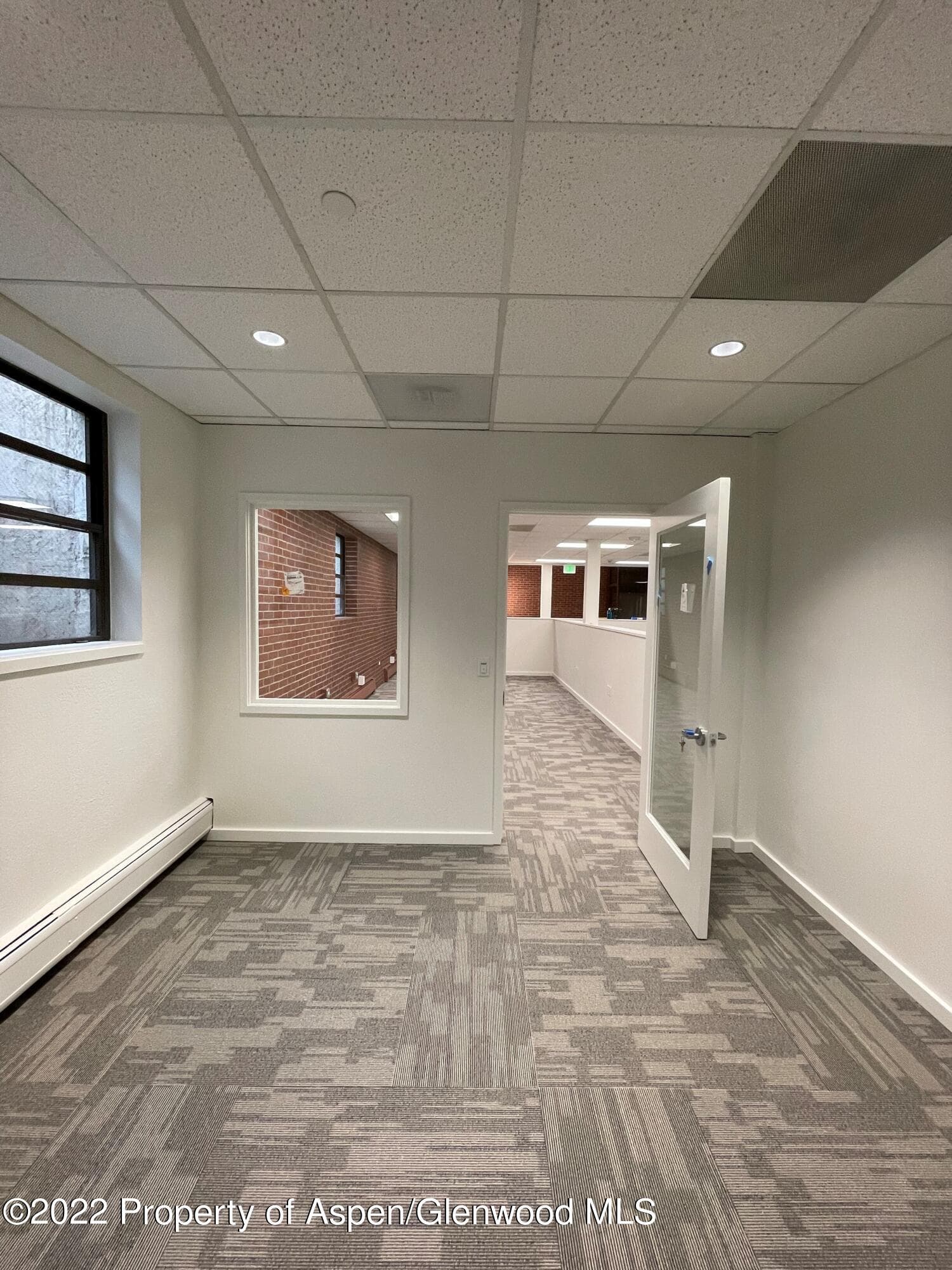 534 E Hyman Avenue Lower Level, Aspen, CO 81611 - Photo 20