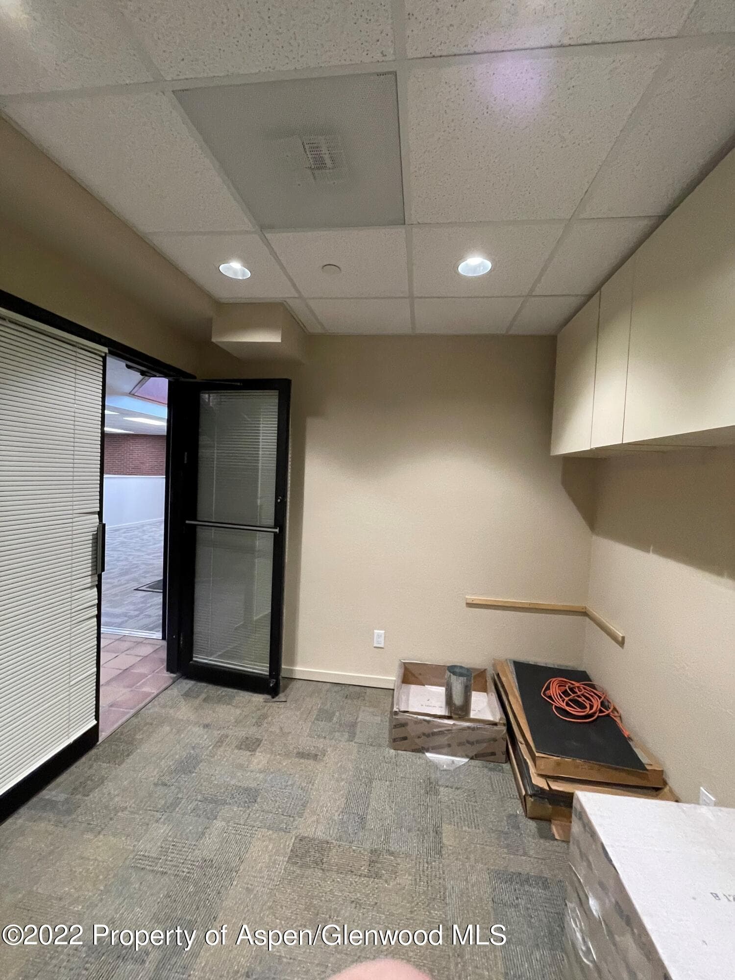 534 E Hyman Avenue Lower Level, Aspen, CO 81611 - Photo 22