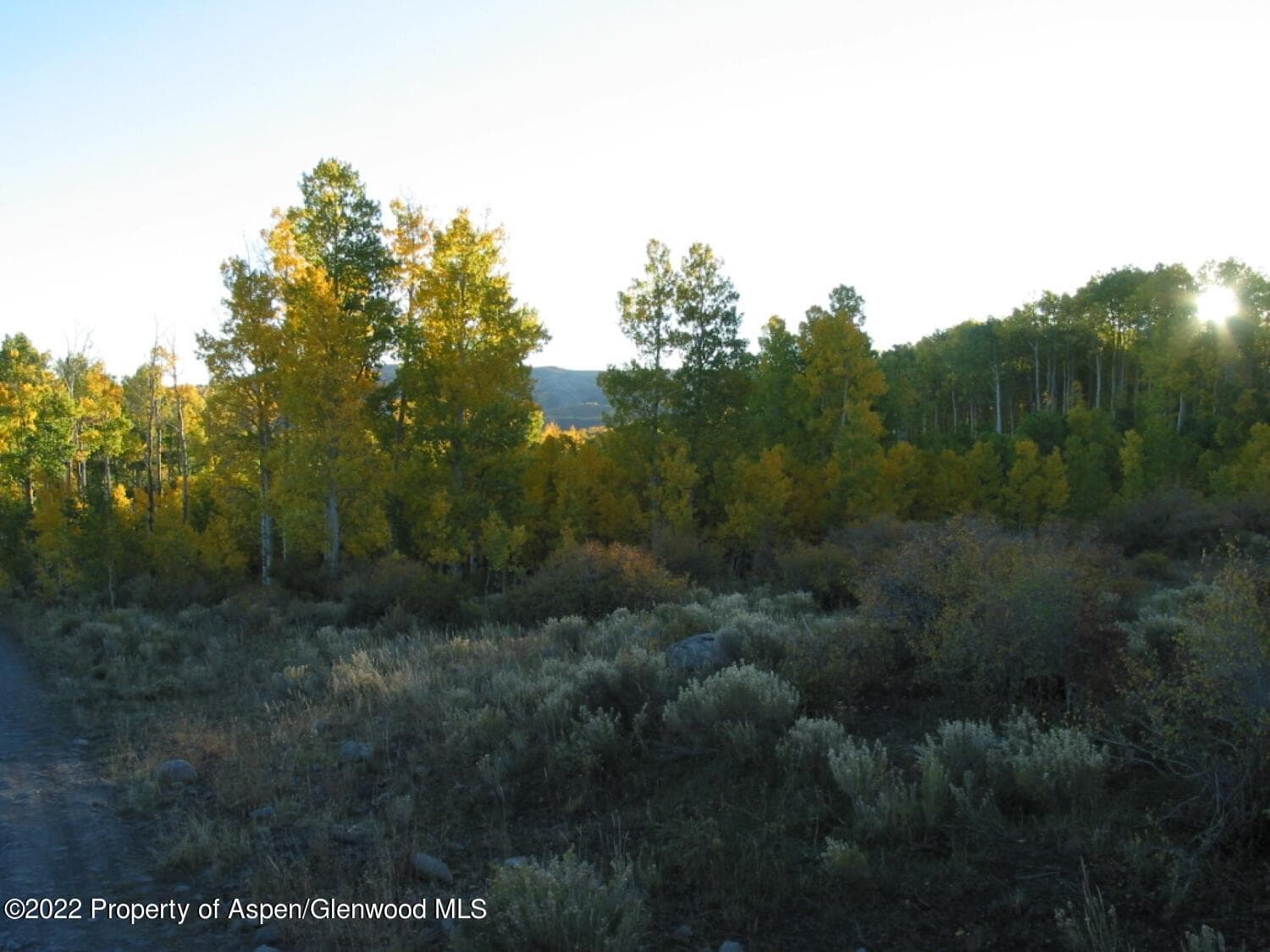 TBD Buckhorn Road 840, Ridgway, CO 81432 - Photo 5