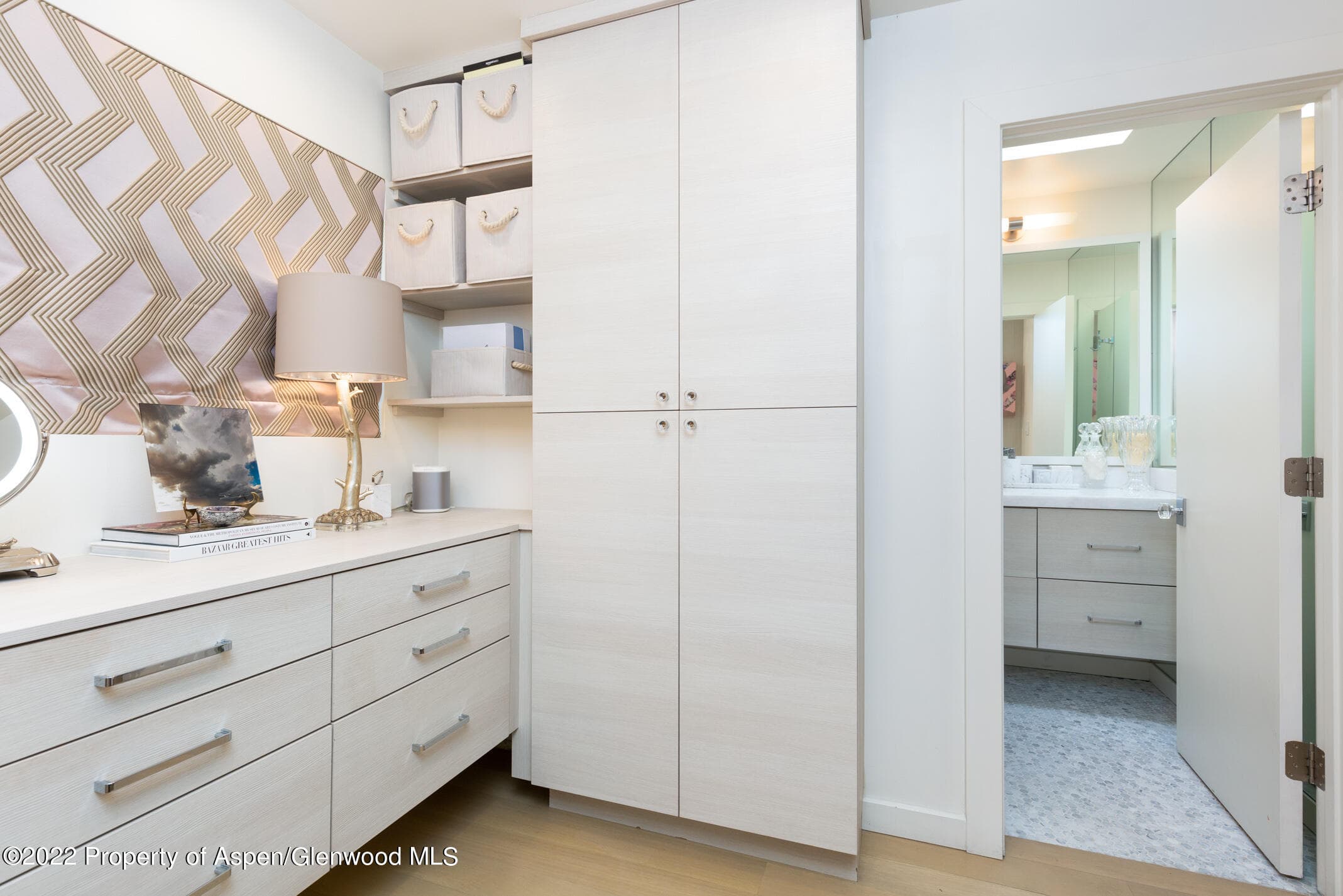 124 E Durant Avenue 2, Aspen, CO 81611 - Photo 7