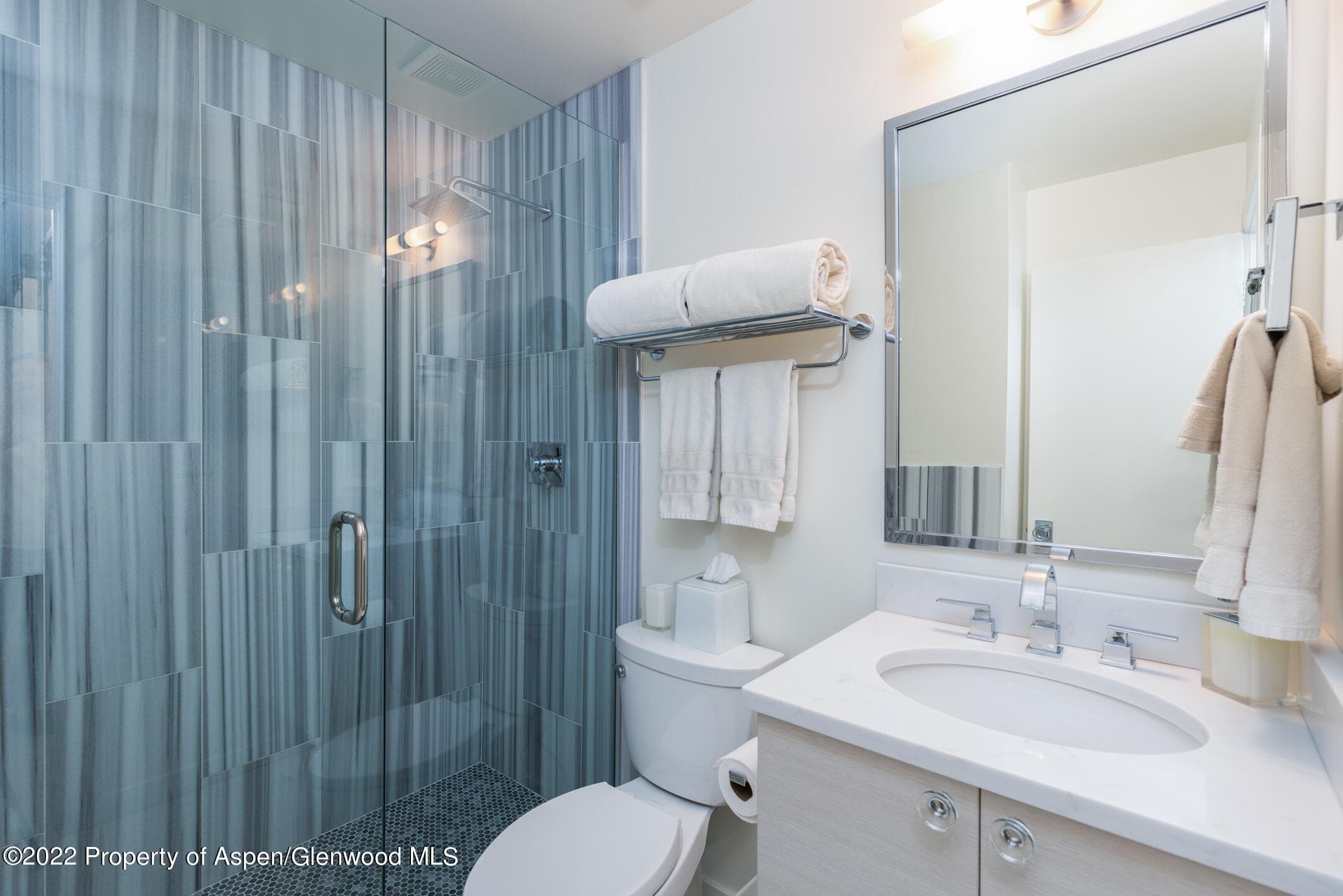124 E Durant Avenue 2, Aspen, CO 81611 - Photo 13