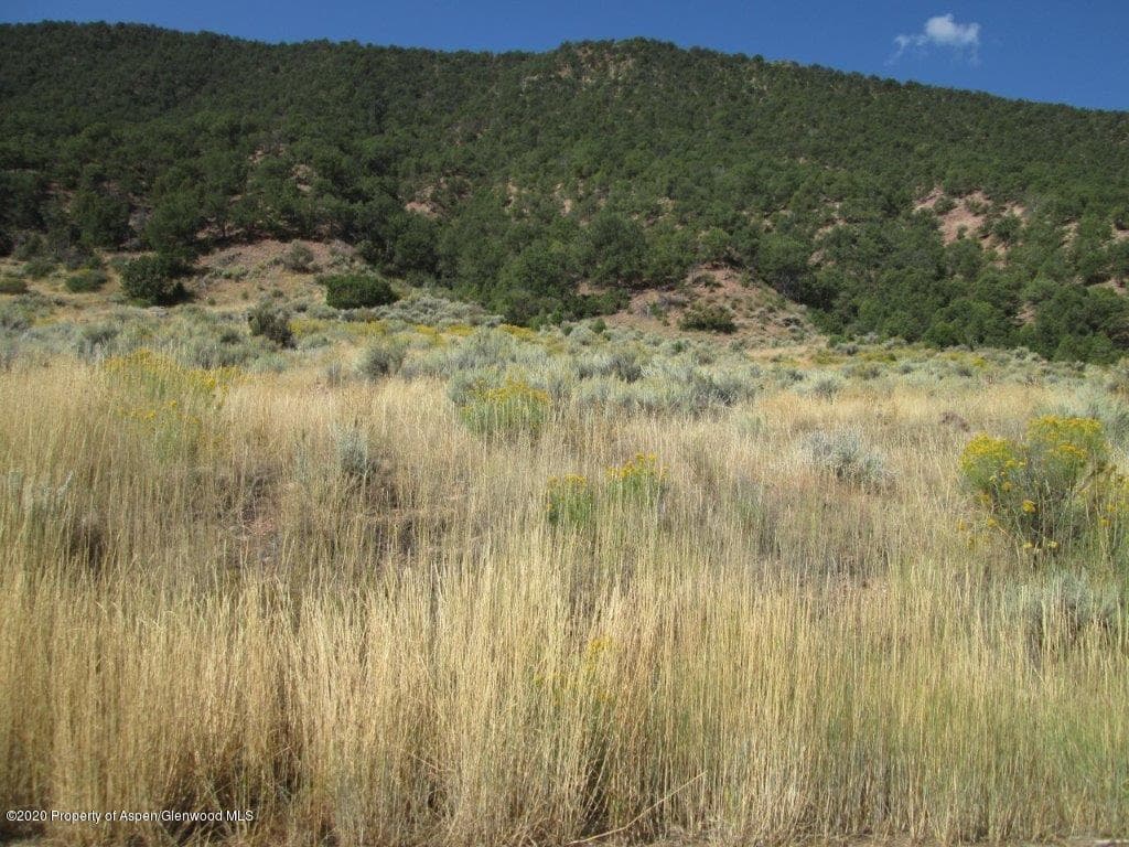 TBD County Road 109, Carbondale, CO 81623 - Photo 9