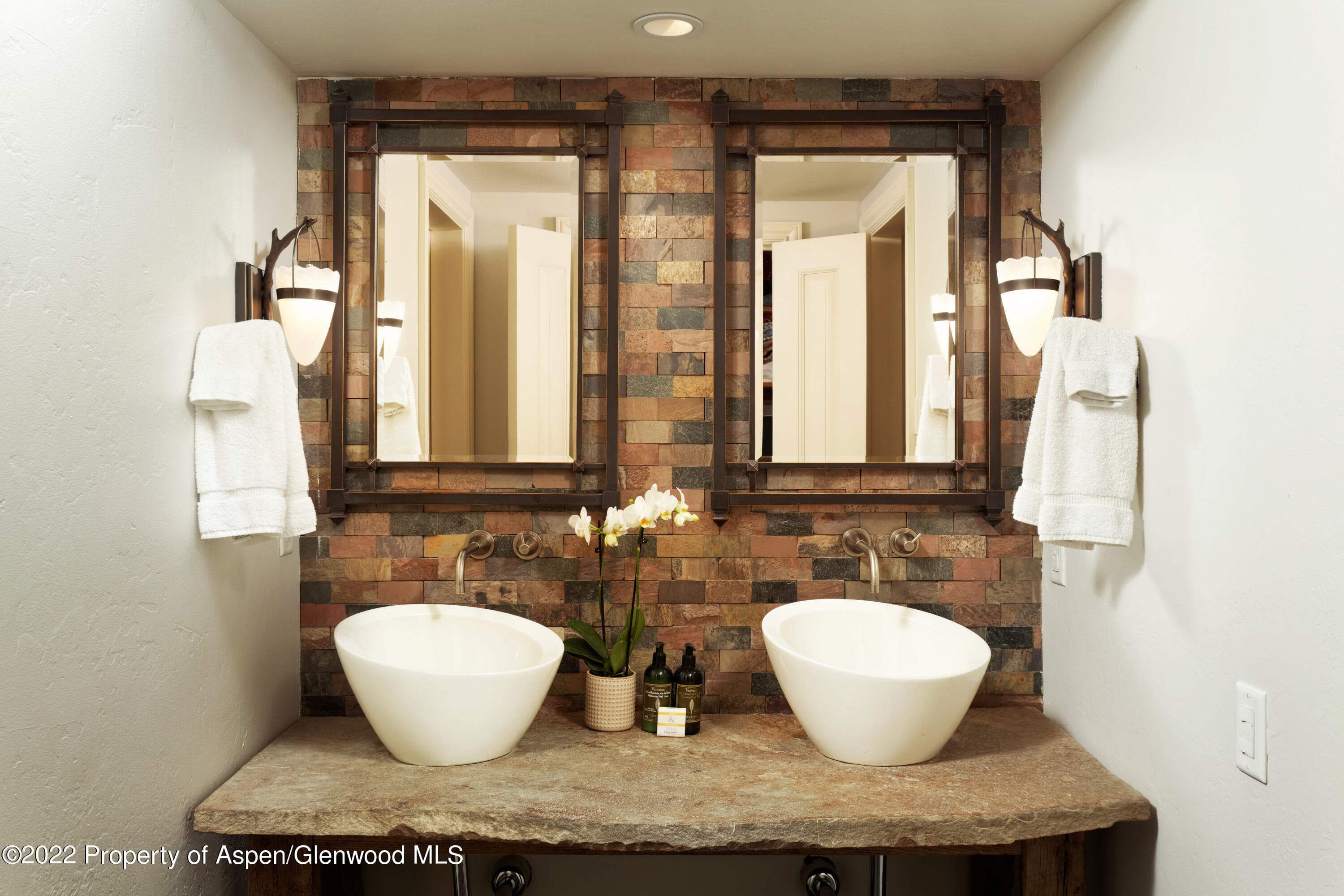 1016 E Hyman Avenue 2, Aspen, CO 81611 - Photo 14