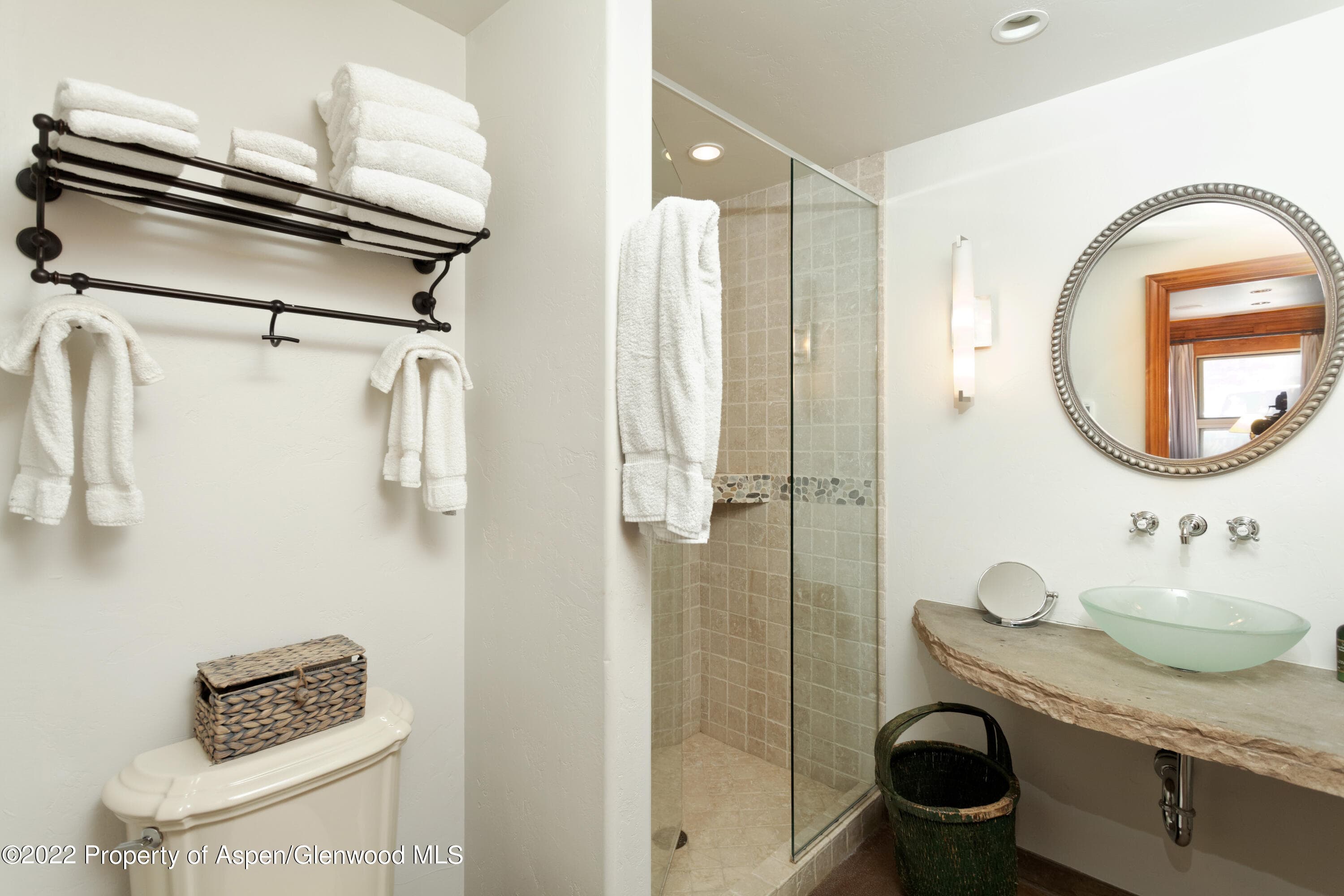 1016 E Hyman Avenue 2, Aspen, CO 81611 - Photo 12