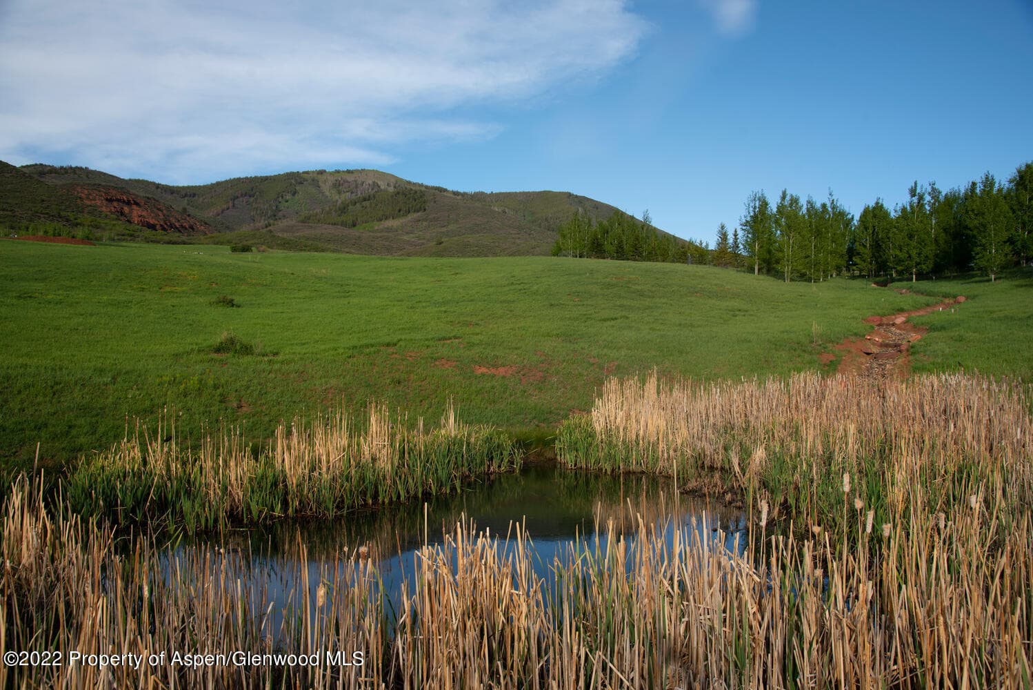 30 Little Ditch Road, Woody Creek, CO 81656 - Photo 4