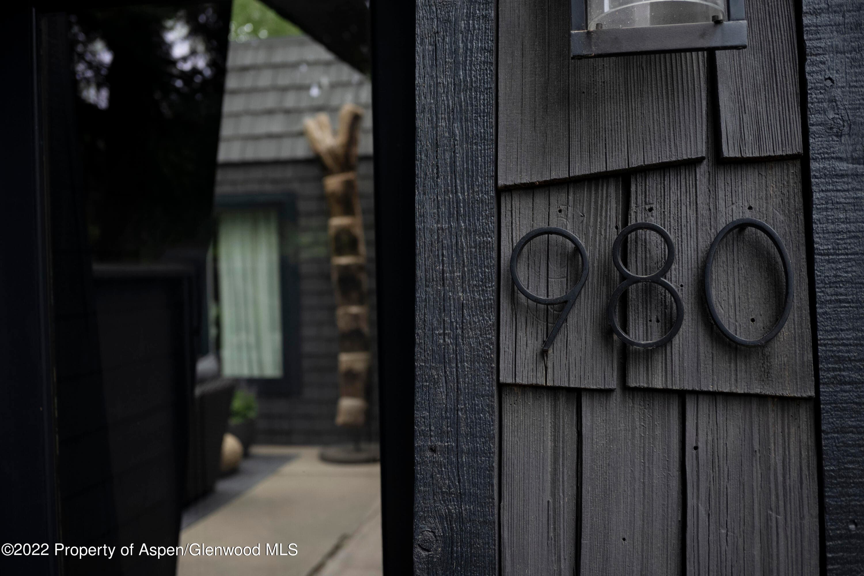 980 Cemetery Lane, Aspen, CO 81611 - Photo 18