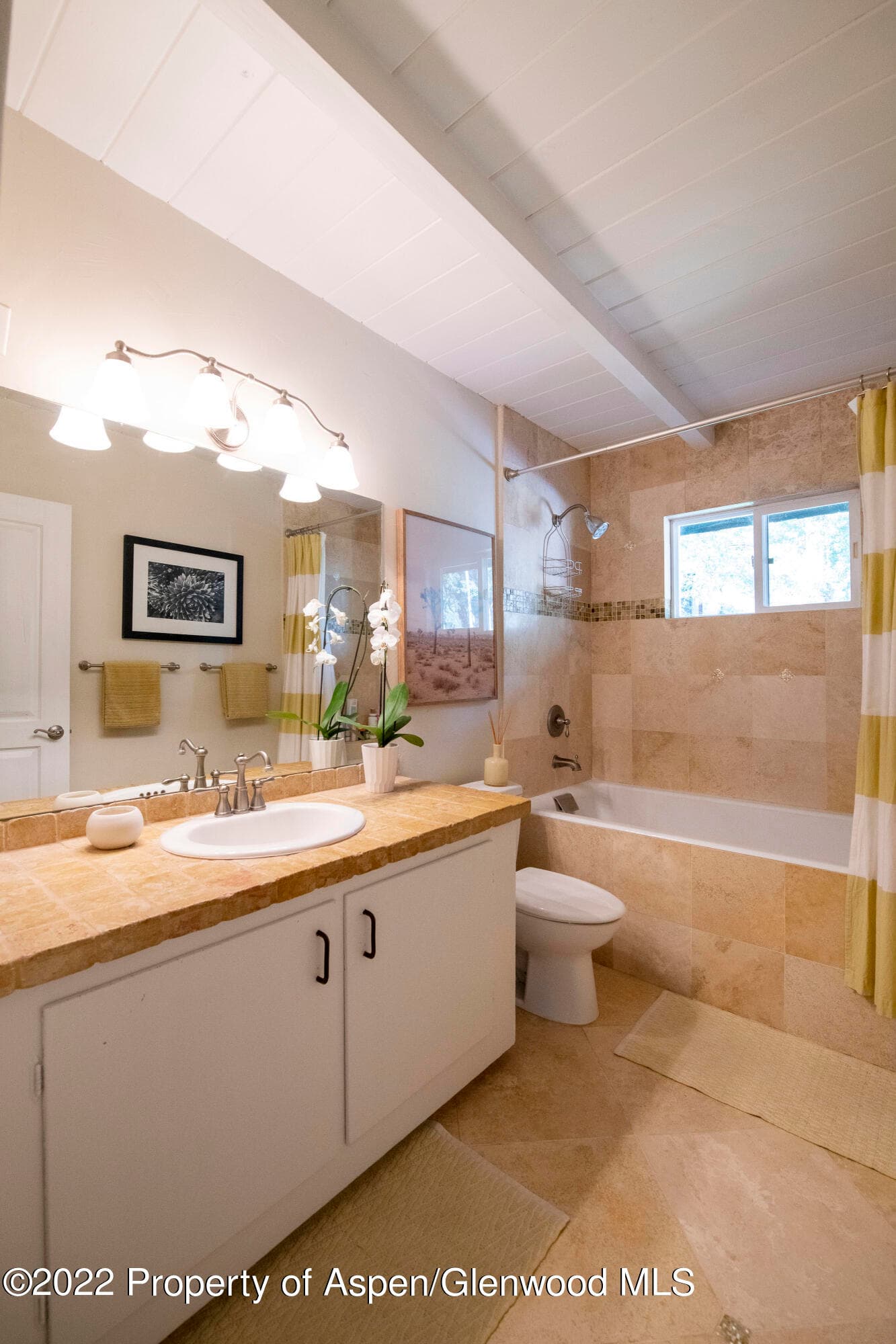 980 Cemetery Lane, Aspen, CO 81611 - Photo 12