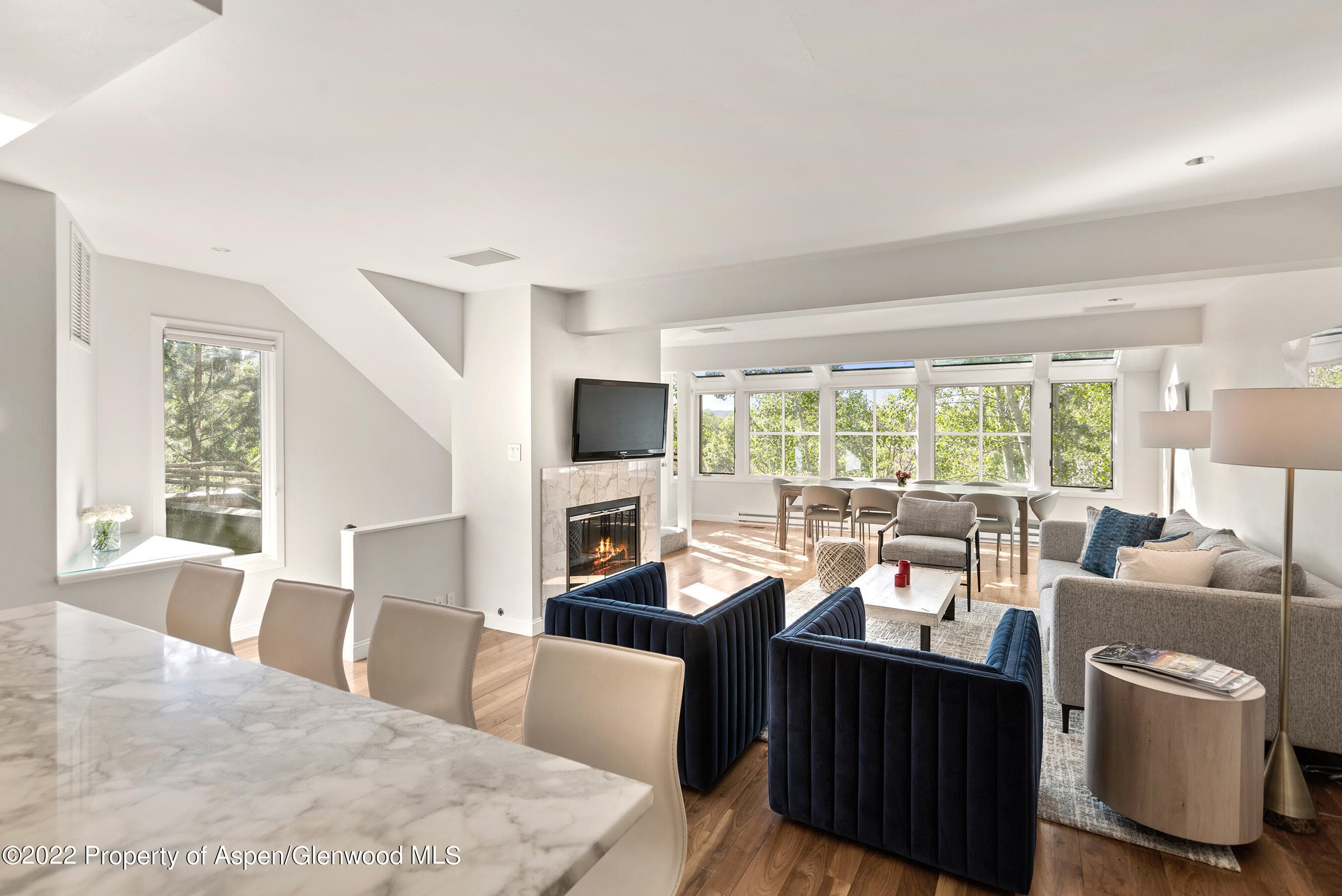 100 N 8th Street 23, Aspen, CO 81611 - Photo 2