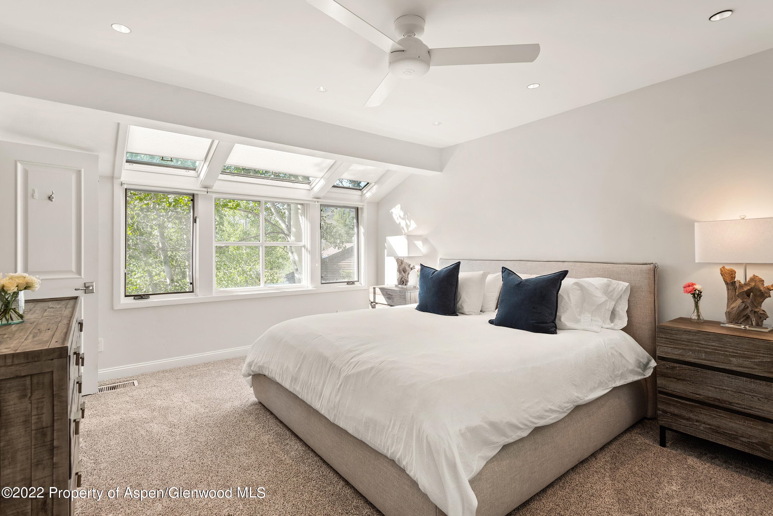 100 N 8th Street 23, Aspen, CO 81611 - Photo 11