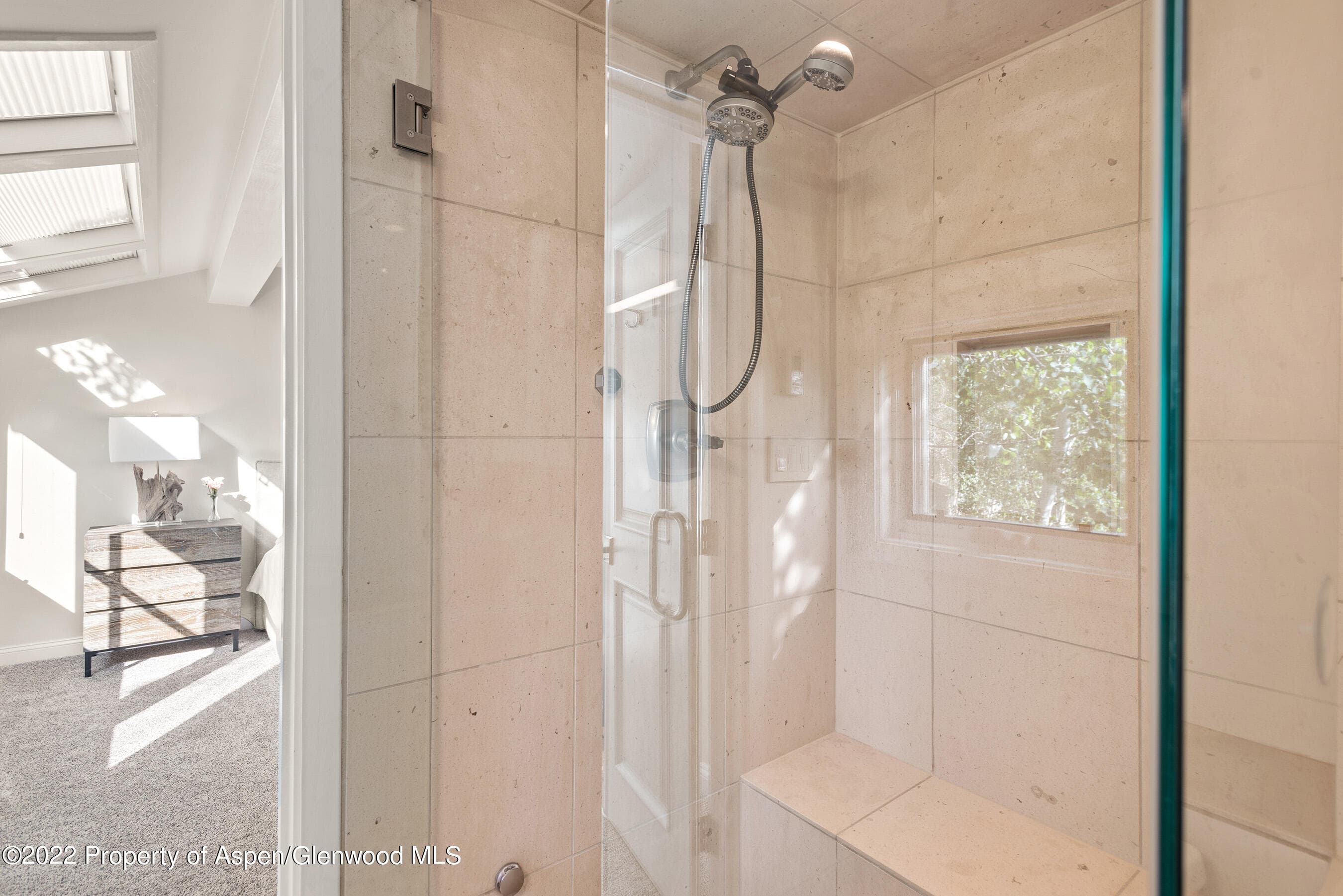 100 N 8th Street 23, Aspen, CO 81611 - Photo 12