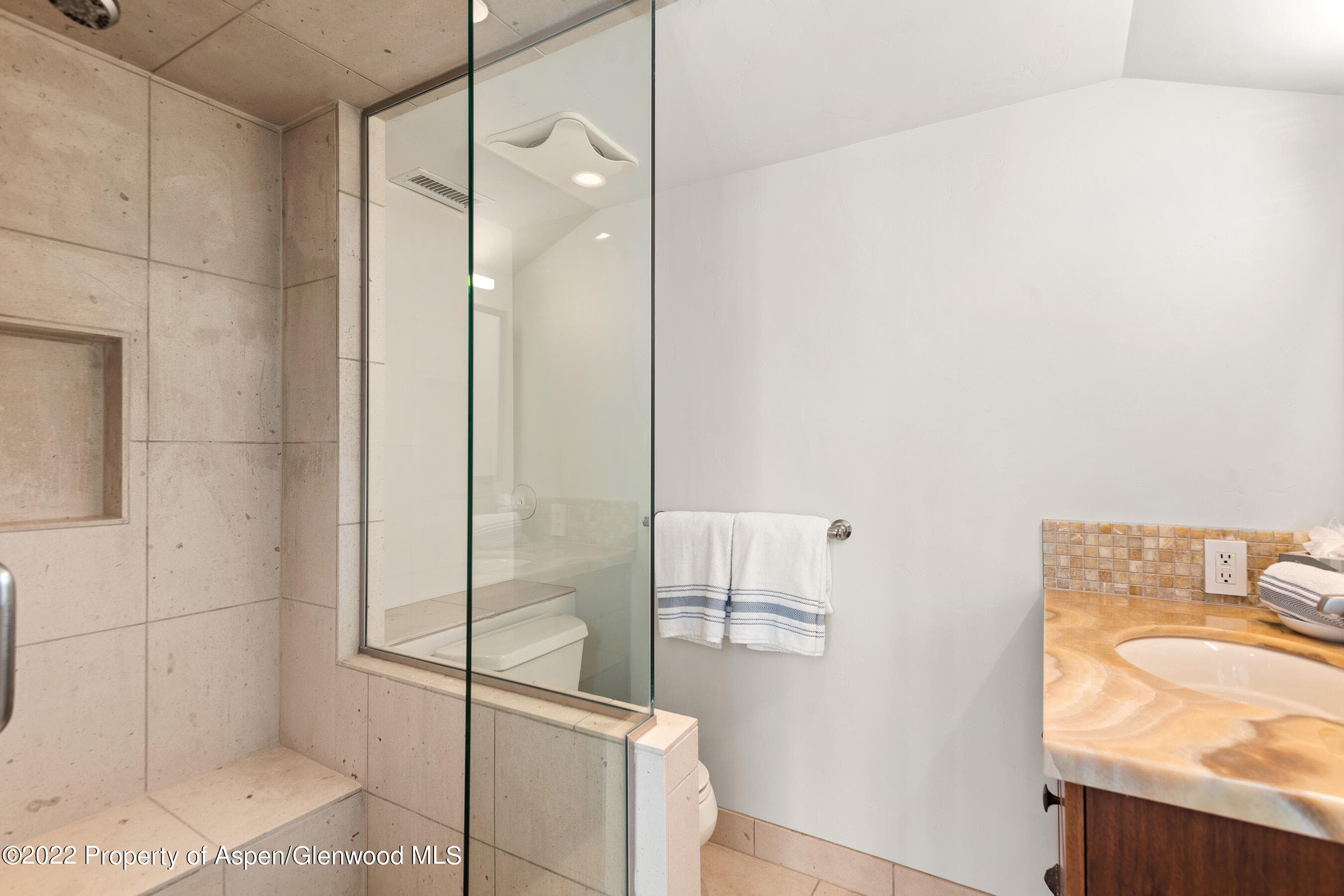 100 N 8th Street 23, Aspen, CO 81611 - Photo 13