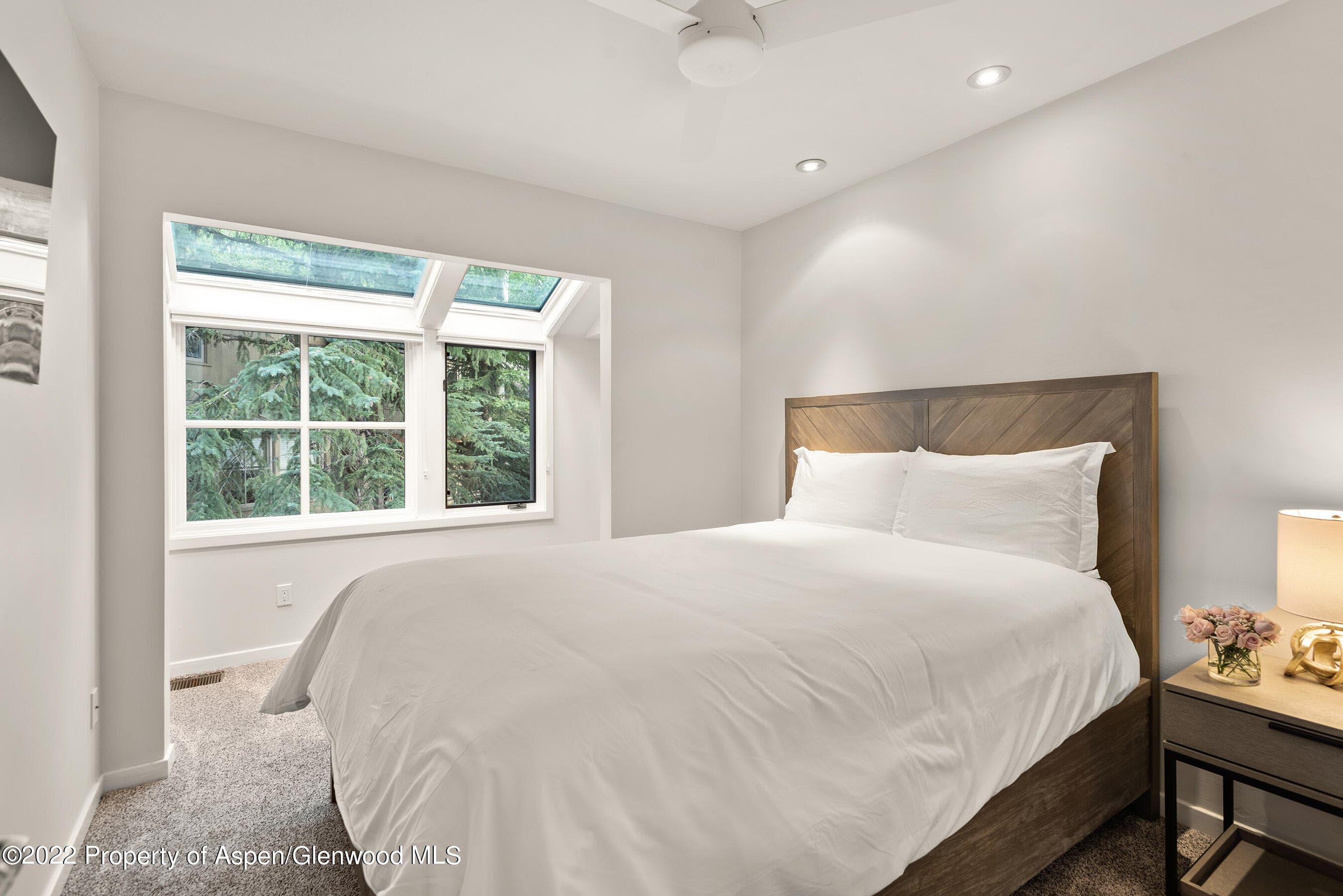 100 N 8th Street 23, Aspen, CO 81611 - Photo 14