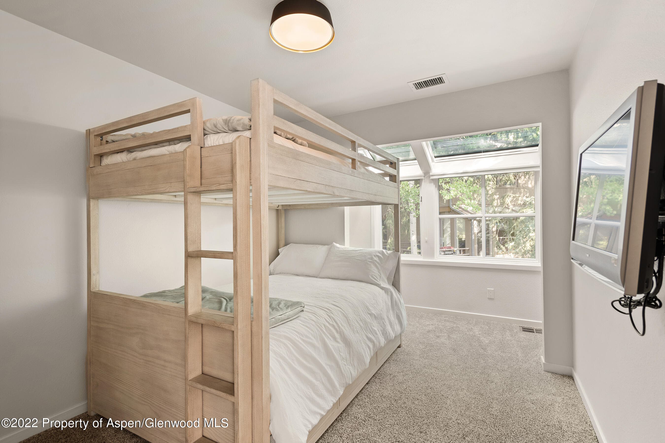 100 N 8th Street 23, Aspen, CO 81611 - Photo 16
