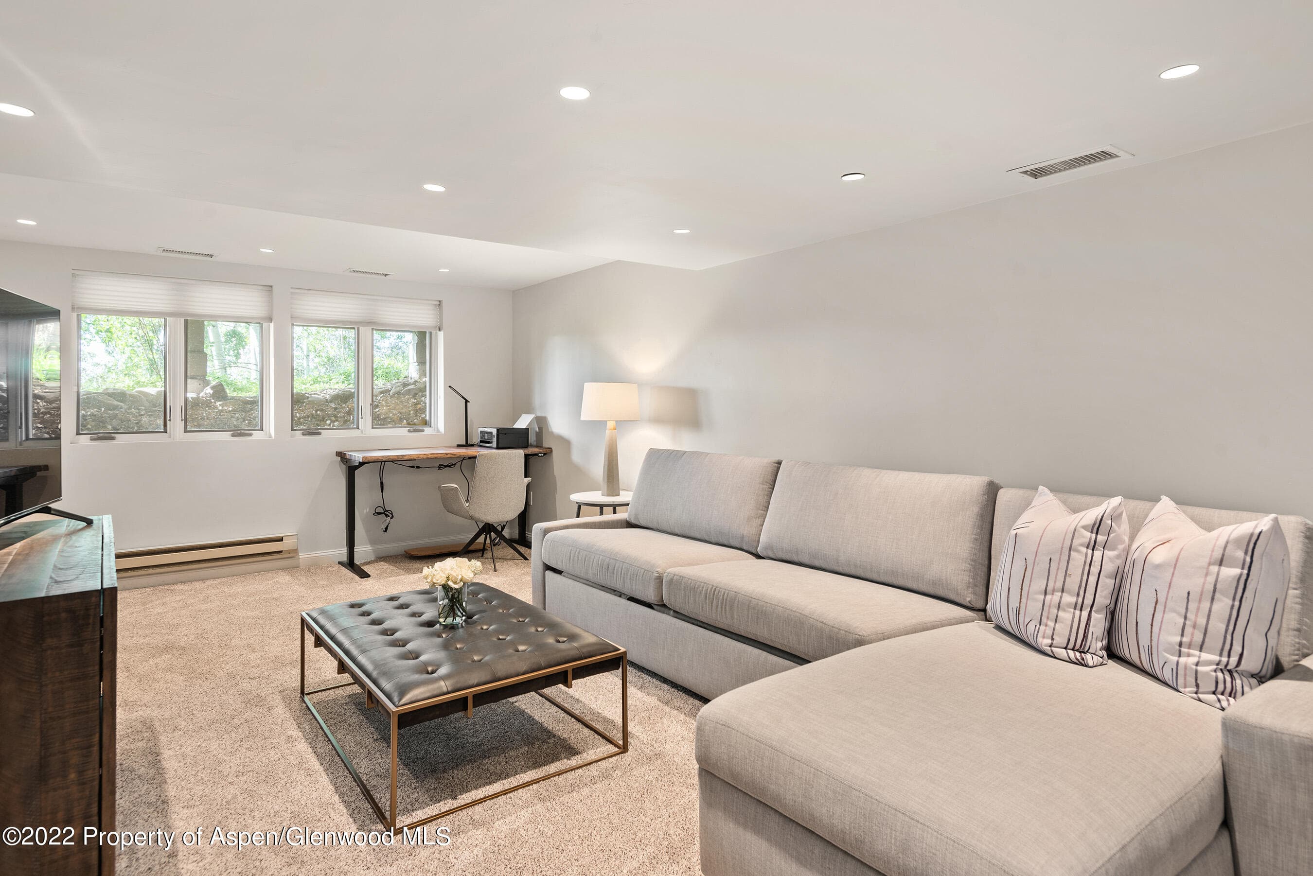100 N 8th Street 23, Aspen, CO 81611 - Photo 17