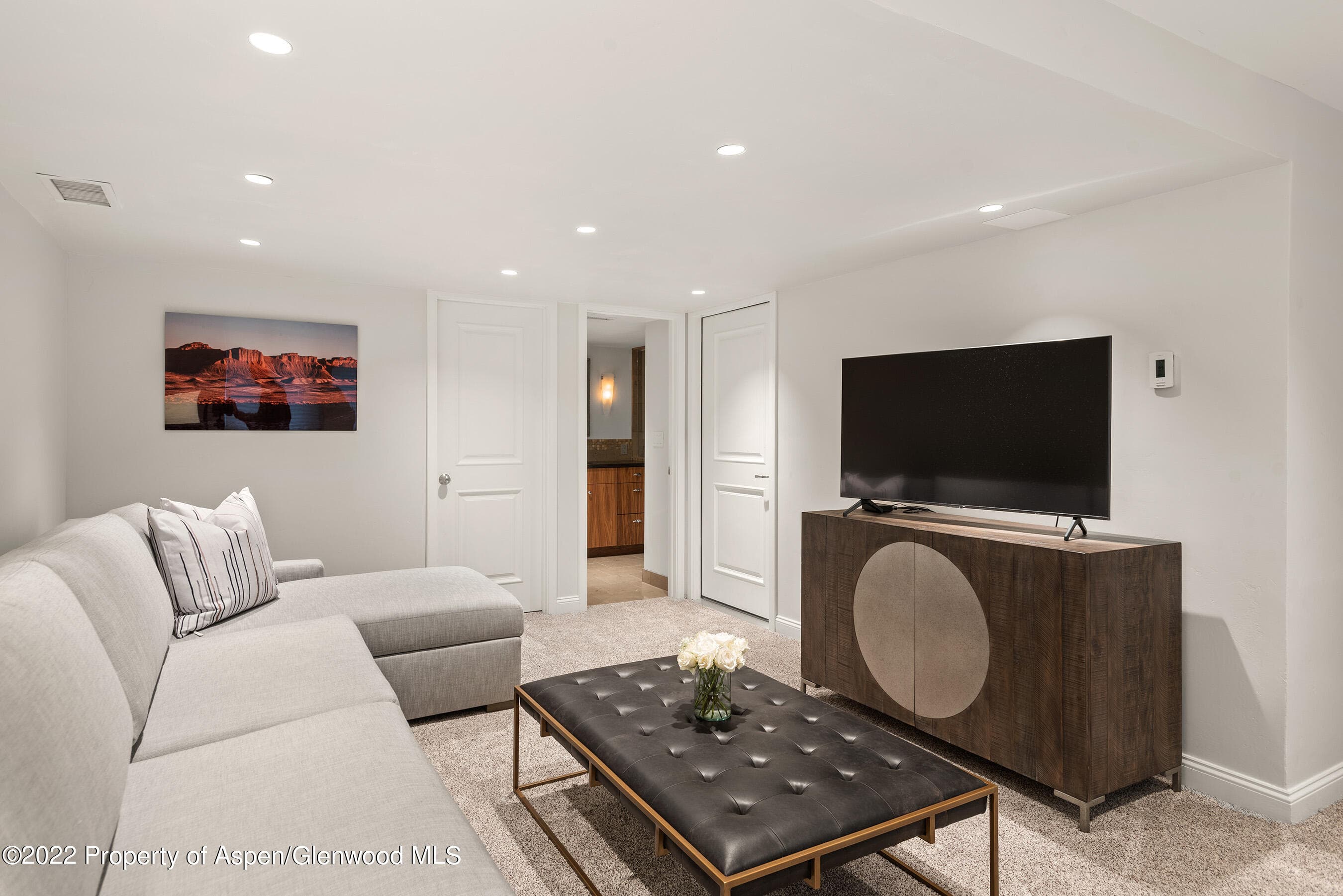 100 N 8th Street 23, Aspen, CO 81611 - Photo 18