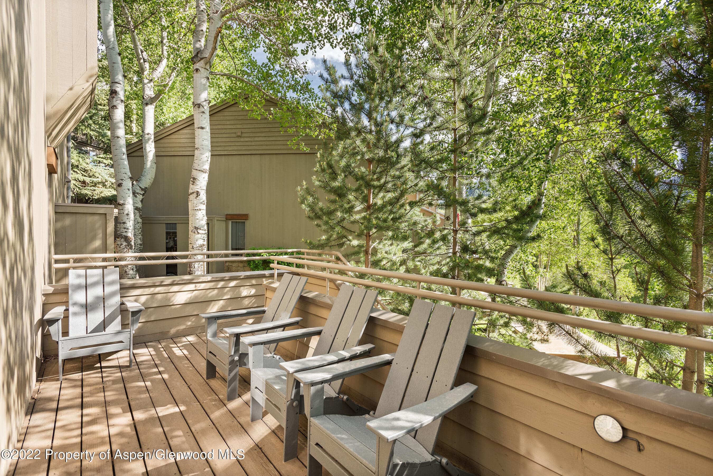 100 N 8th Street 23, Aspen, CO 81611 - Photo 21