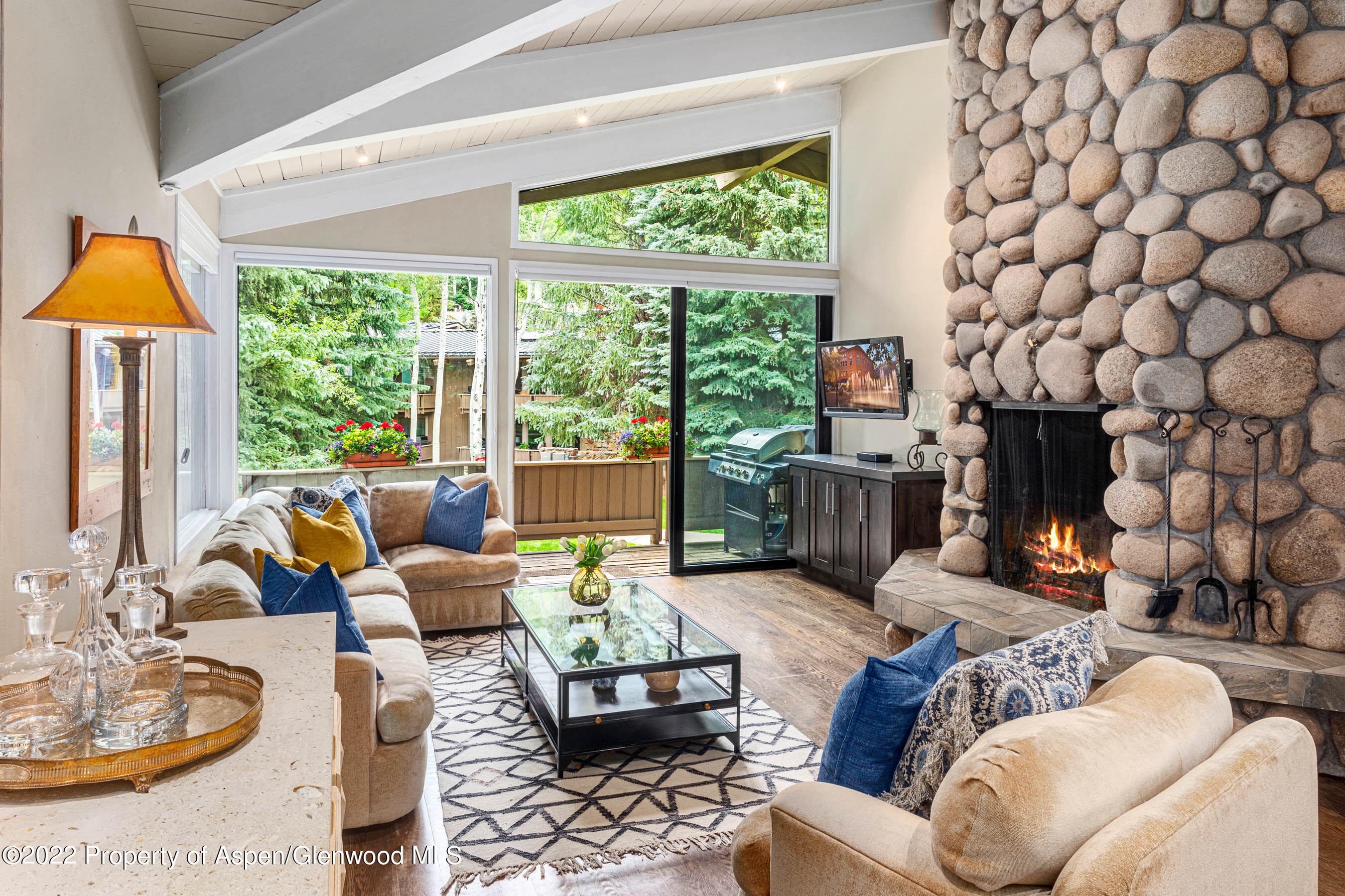 700 Ute Avenue 110, Aspen, CO 81611 - Photo 1