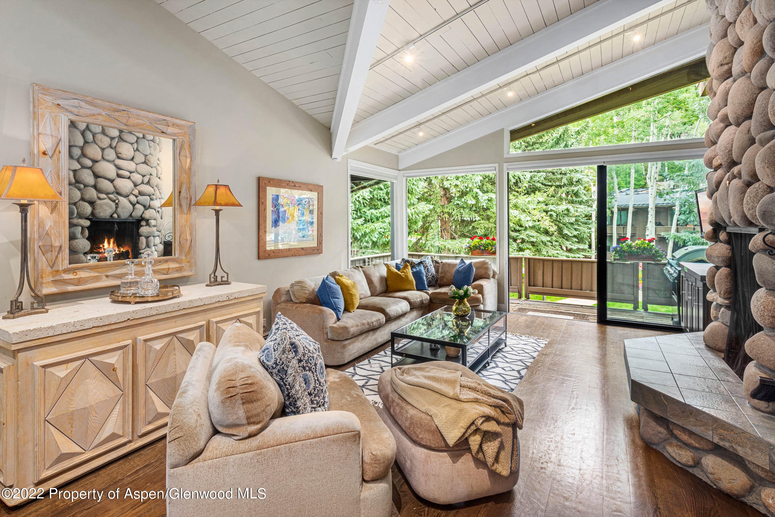 700 Ute Avenue 110, Aspen, CO 81611 - Photo 2
