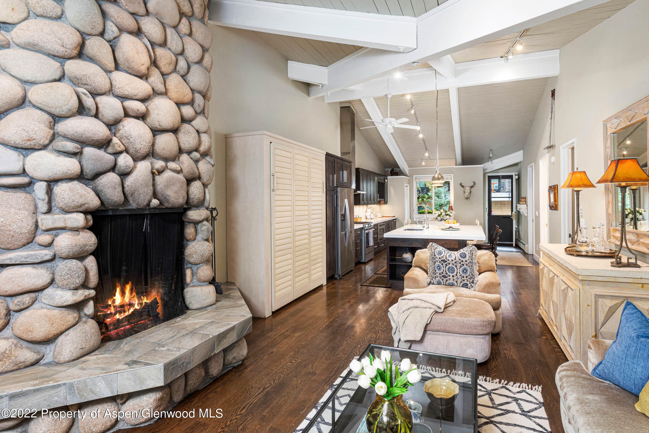 700 Ute Avenue 110, Aspen, CO 81611 - Photo 5