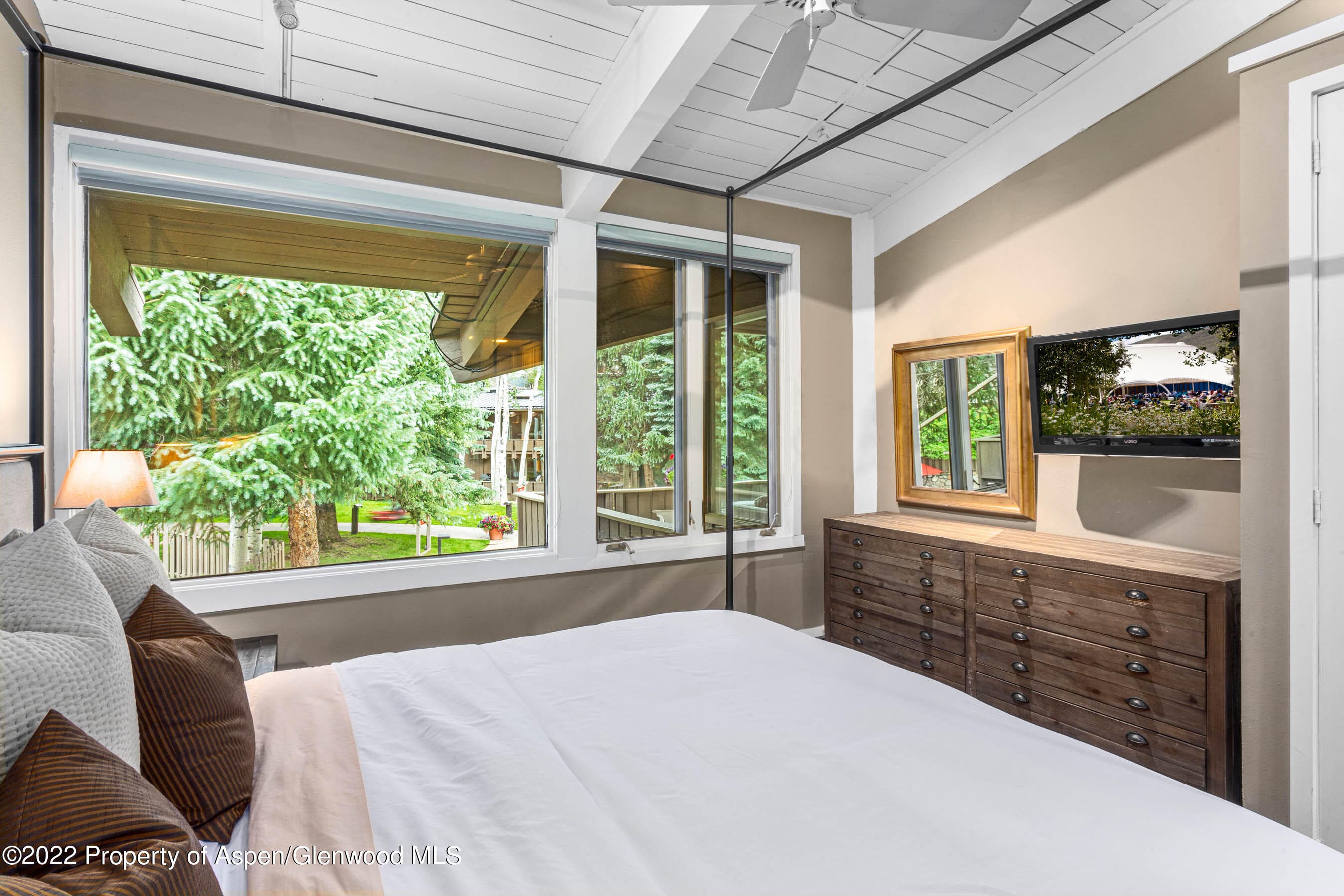 700 Ute Avenue 110, Aspen, CO 81611 - Photo 6