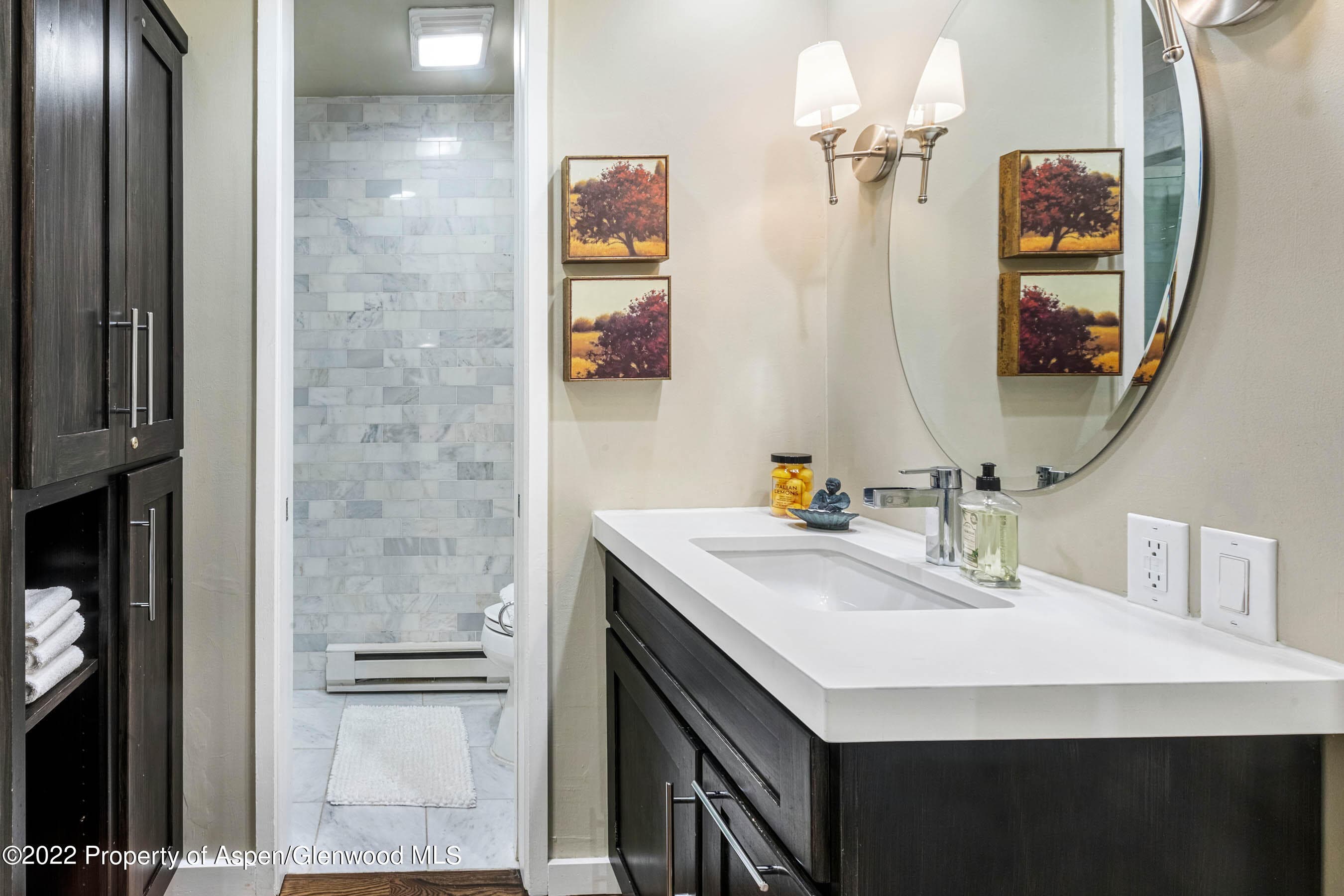 700 Ute Avenue 110, Aspen, CO 81611 - Photo 8