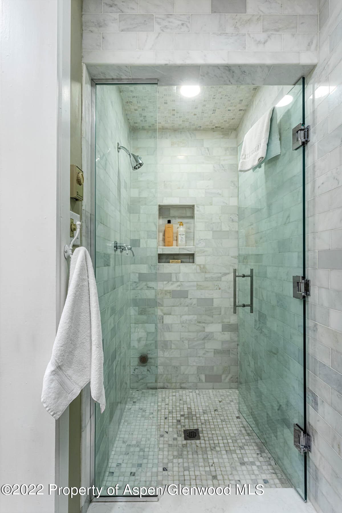 700 Ute Avenue 110, Aspen, CO 81611 - Photo 9