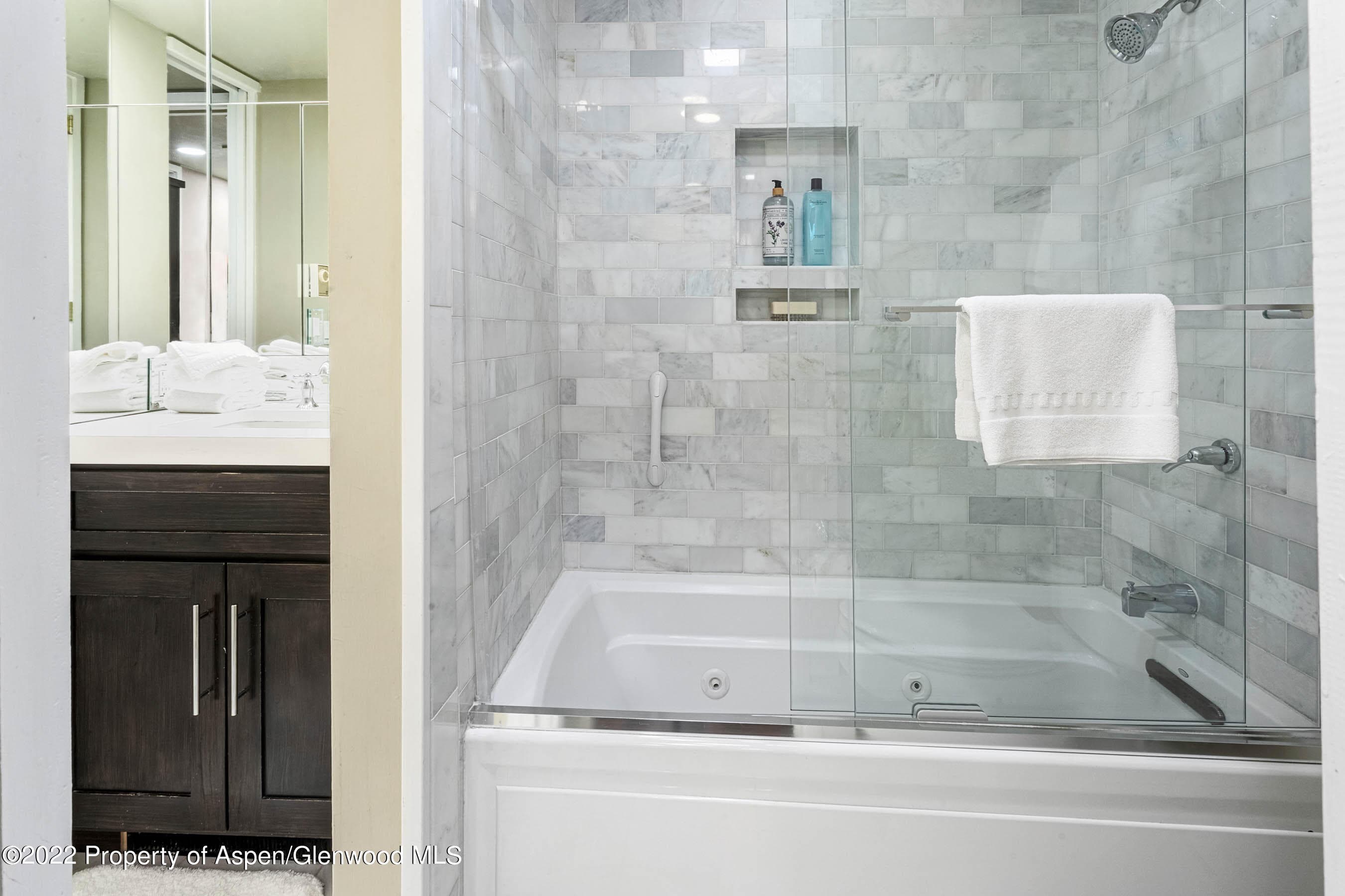 700 Ute Avenue 110, Aspen, CO 81611 - Photo 10