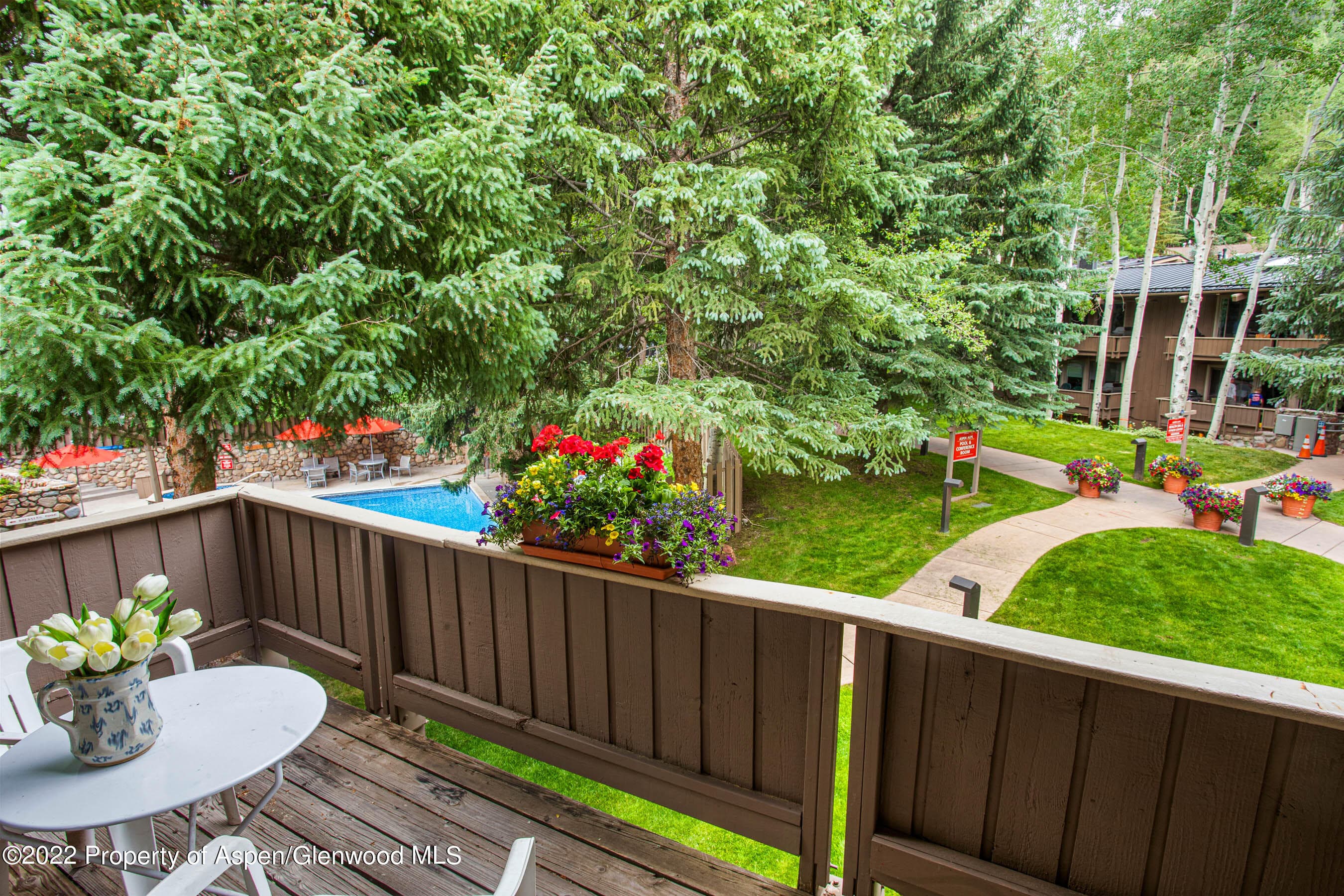 700 Ute Avenue 110, Aspen, CO 81611 - Photo 13