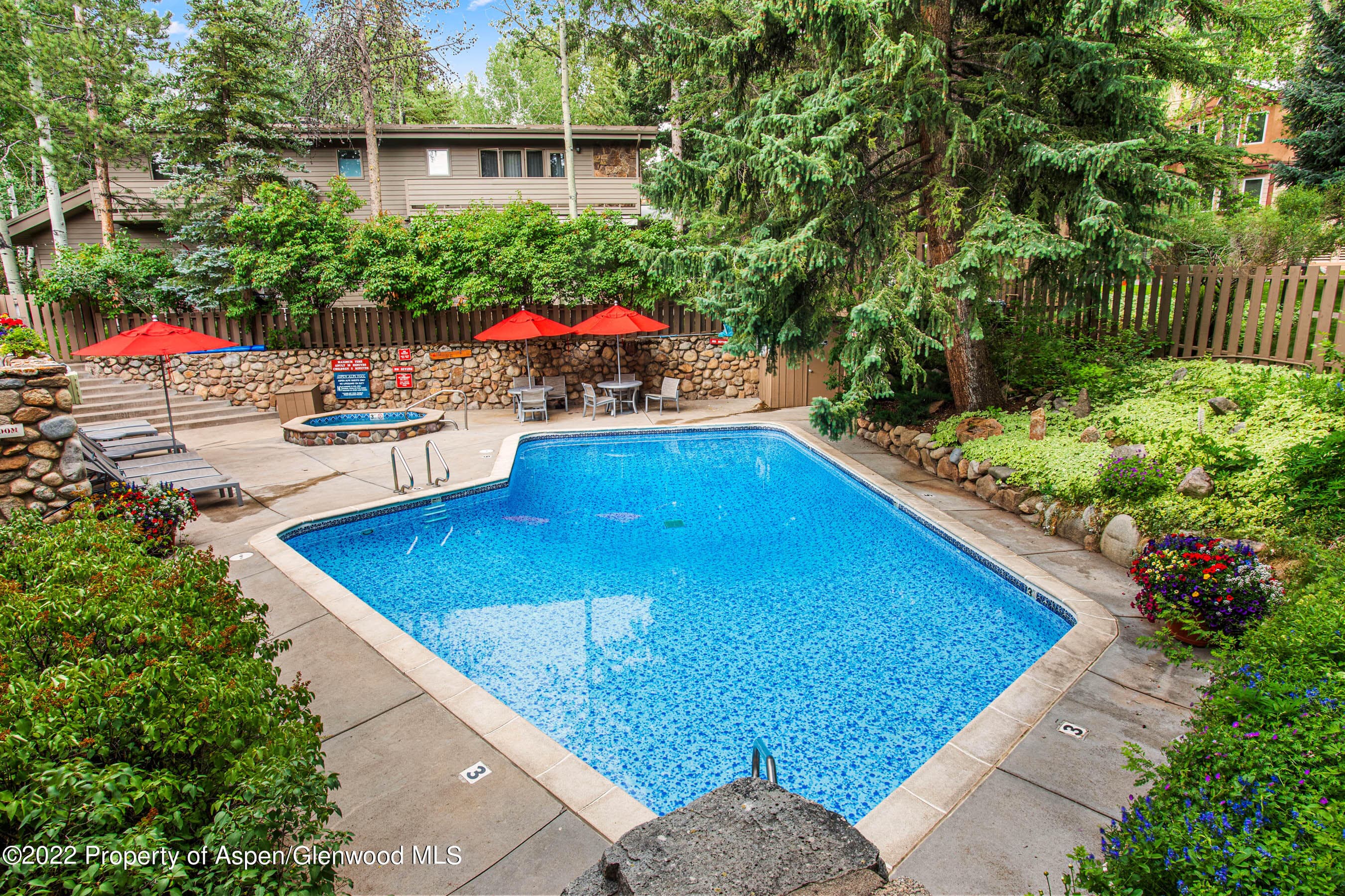 700 Ute Avenue 110, Aspen, CO 81611 - Photo 14
