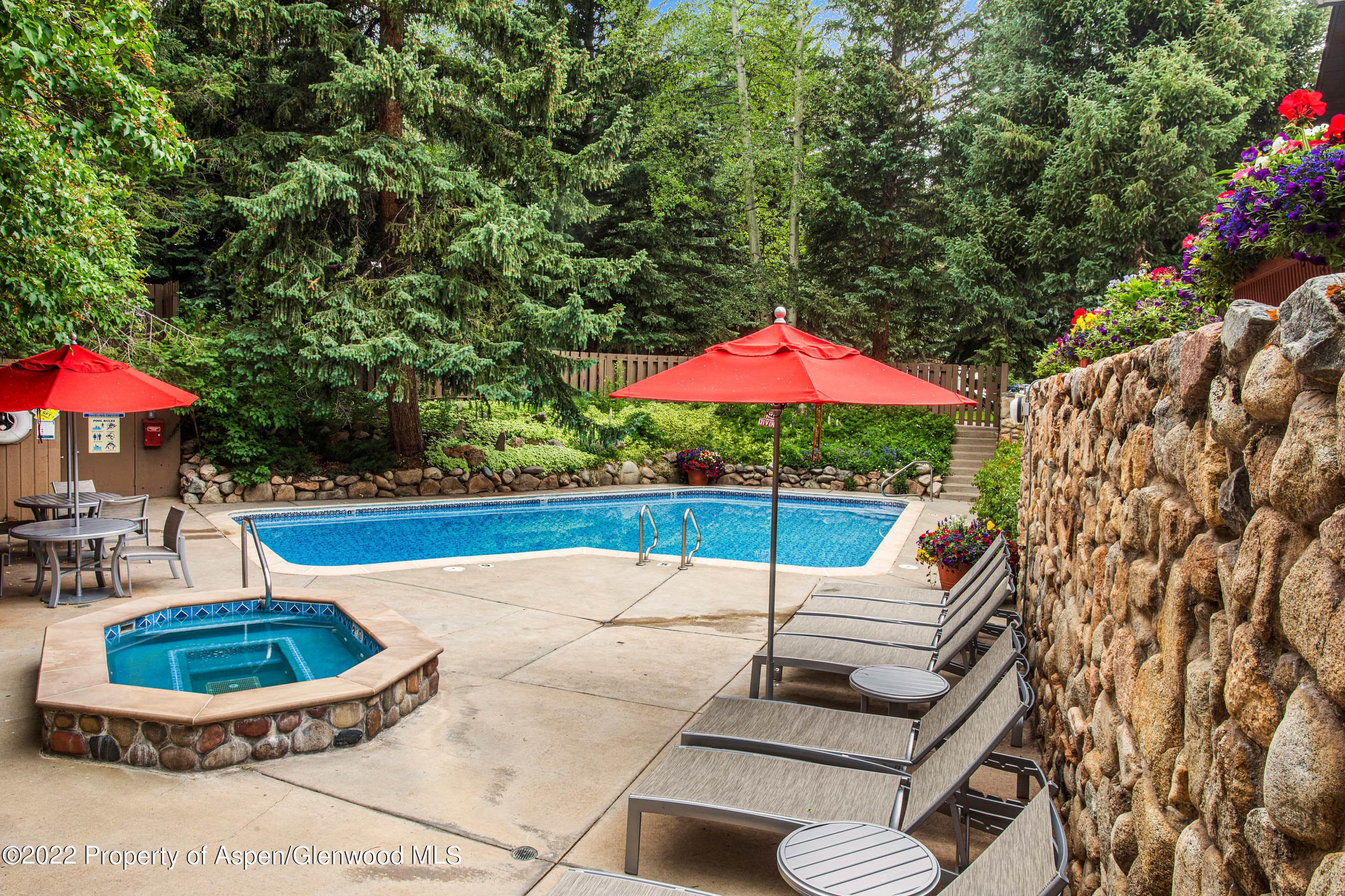 700 Ute Avenue 110, Aspen, CO 81611 - Photo 15