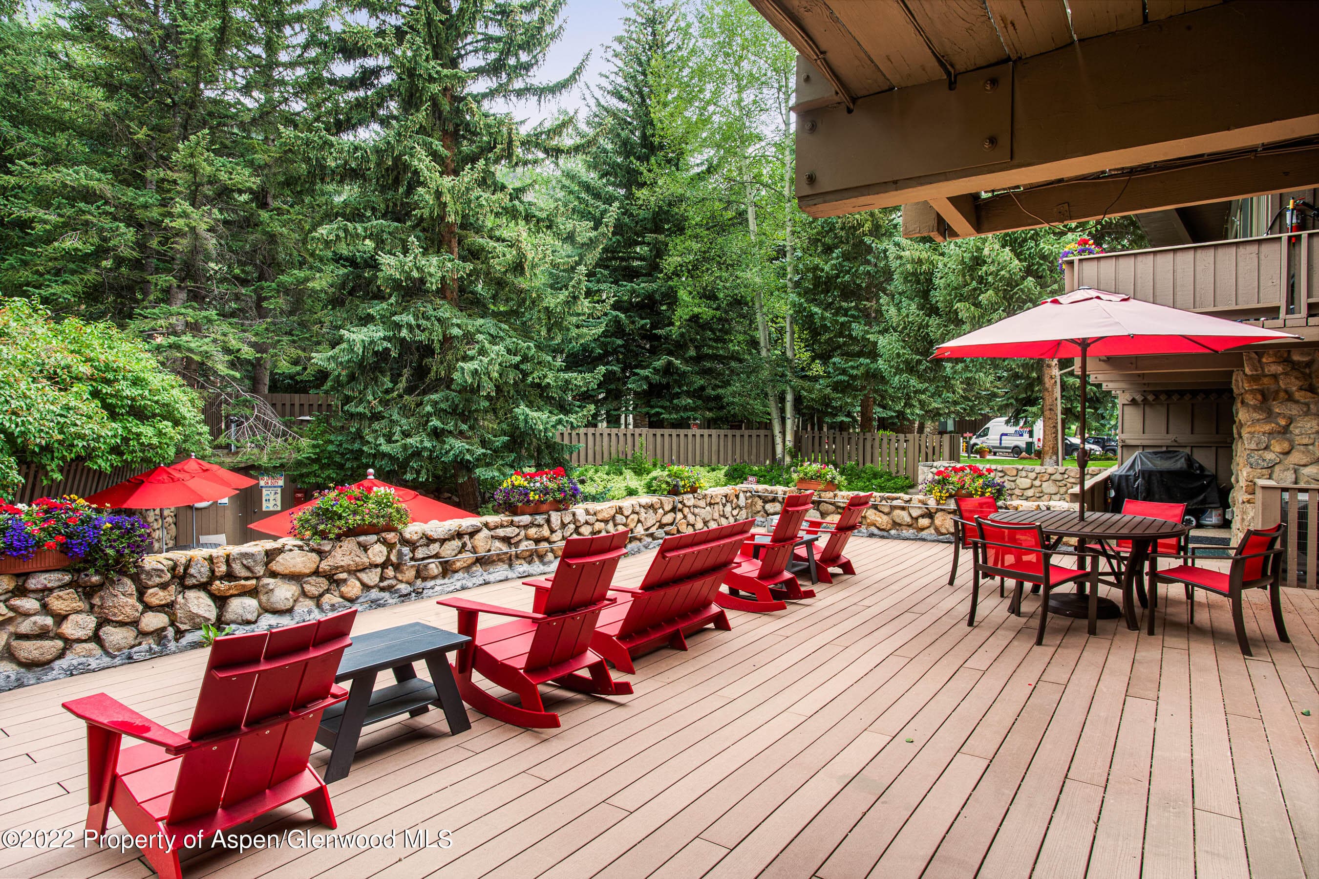 700 Ute Avenue 110, Aspen, CO 81611 - Photo 16