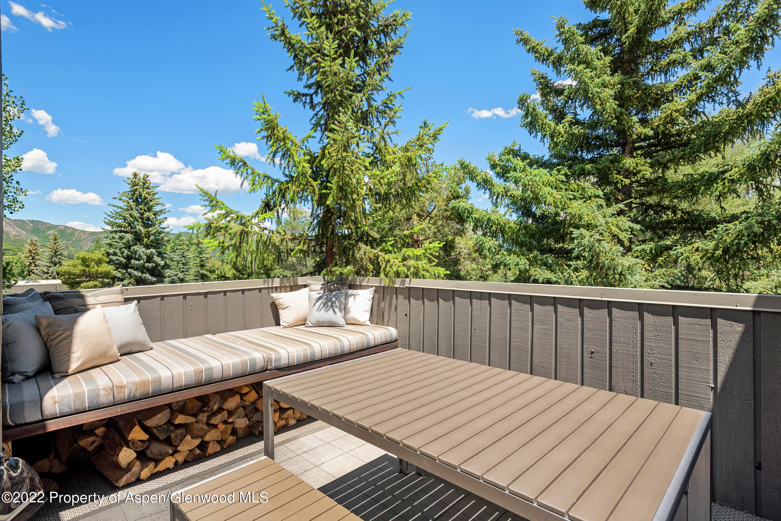 122 Meadow Ranch Road, Aspen, CO 81611 - Photo 21