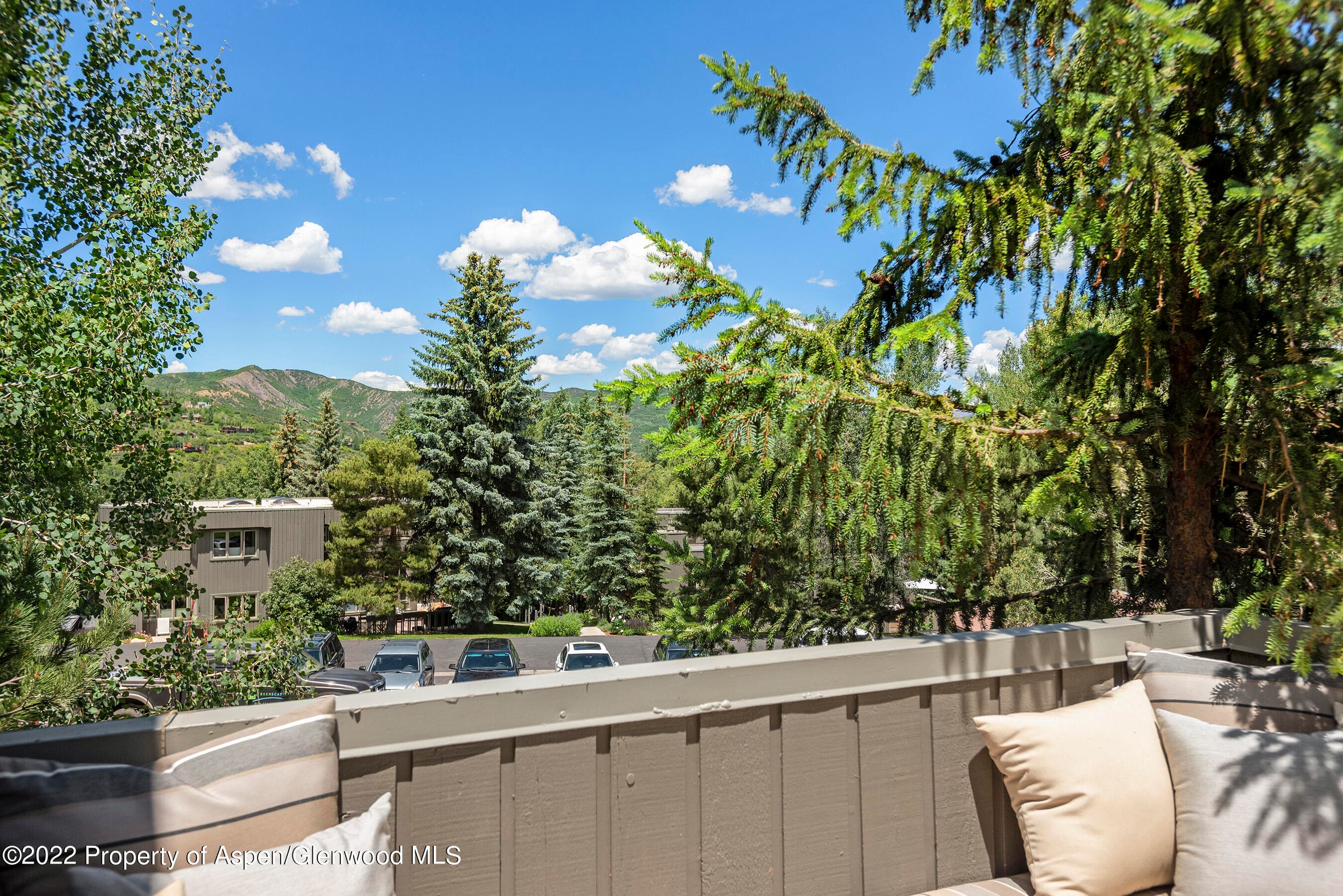 122 Meadow Ranch Road, Aspen, CO 81611 - Photo 22