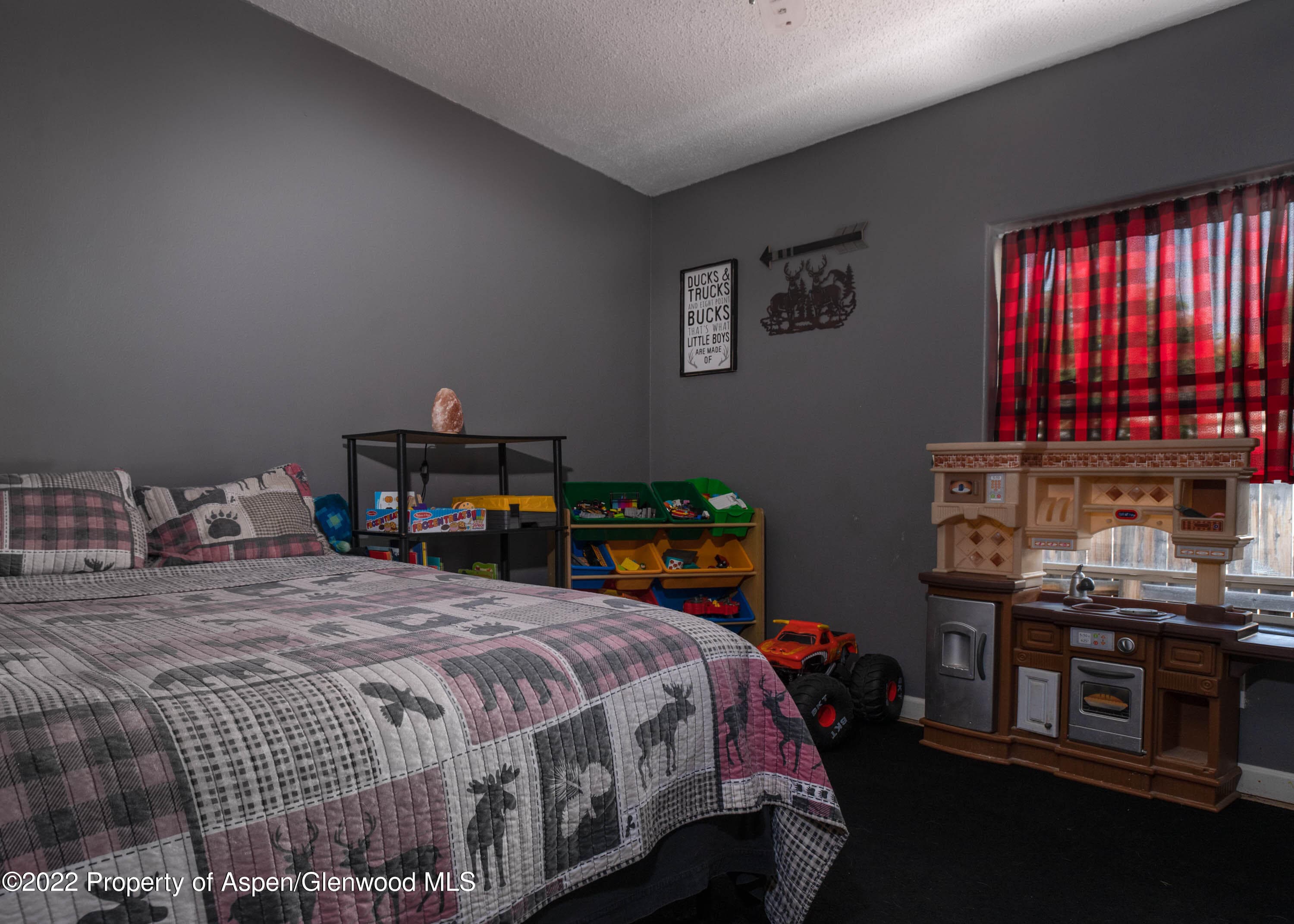 175 Cedar Circle, Parachute, CO 81635 - Photo 17