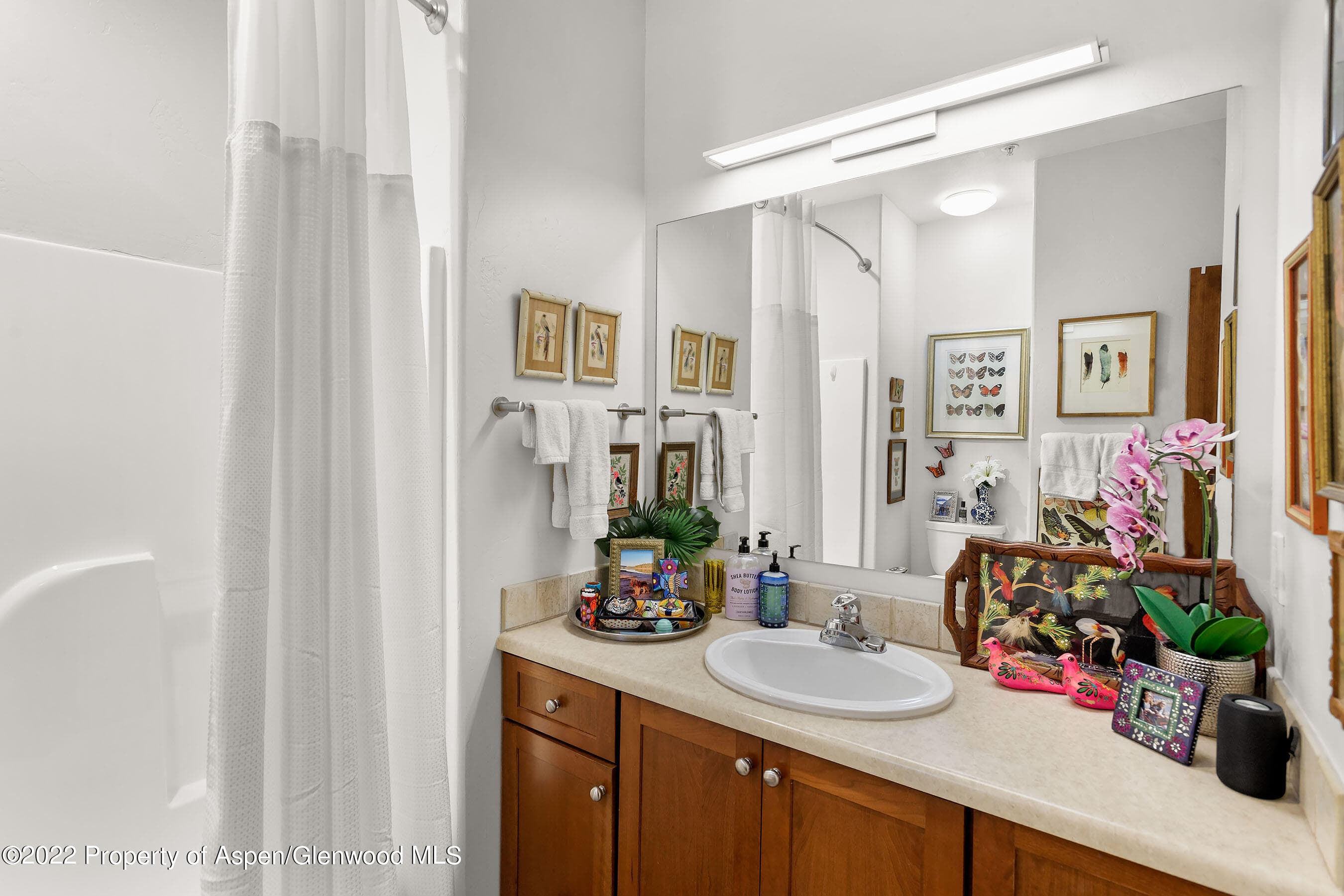 543 Evans Court, Basalt, CO 81621 - Photo 13