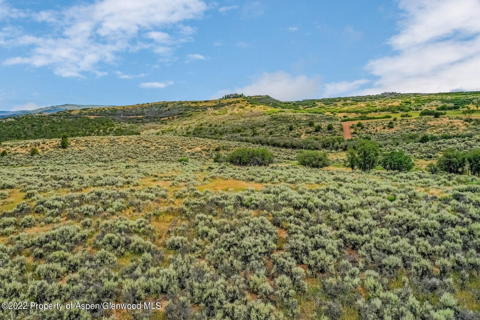 601 Park Meadows Lane, Carbondale, CO 81623 - Photo 4