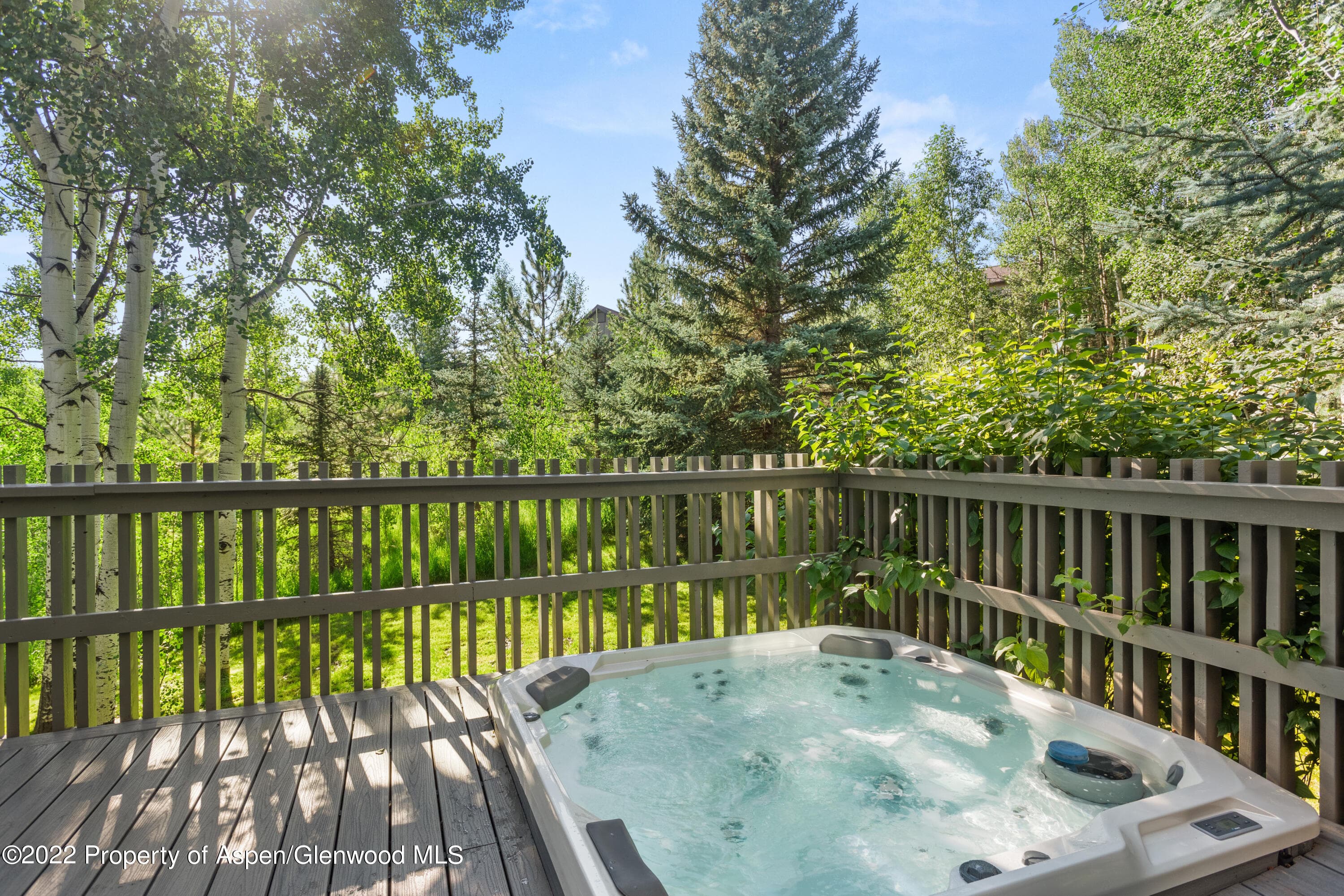 384 Fawn Court F4D, Snowmass Village, CO 81615 - Photo 12