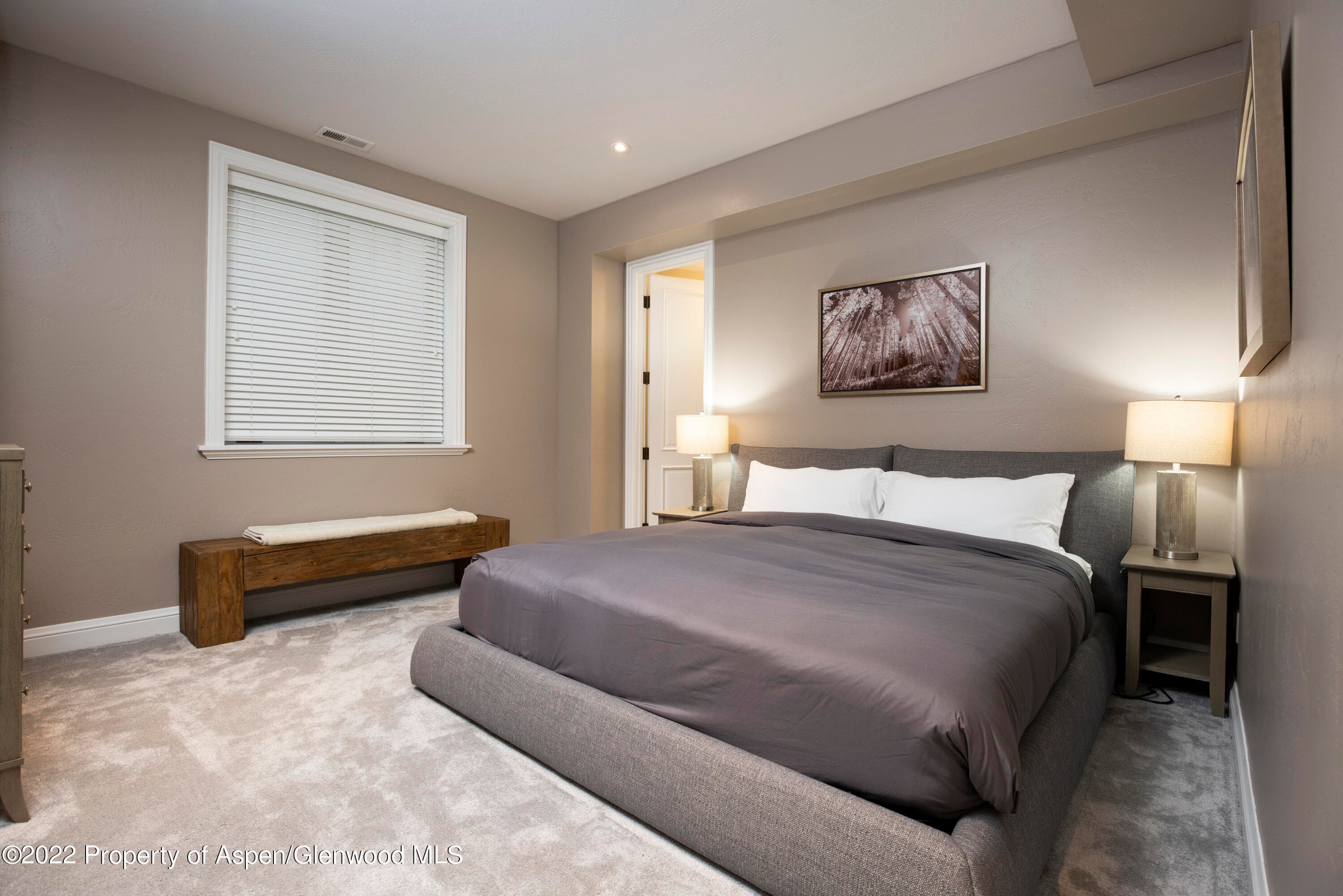 922 E Cooper Avenue, Aspen, CO 81611 - Photo 7