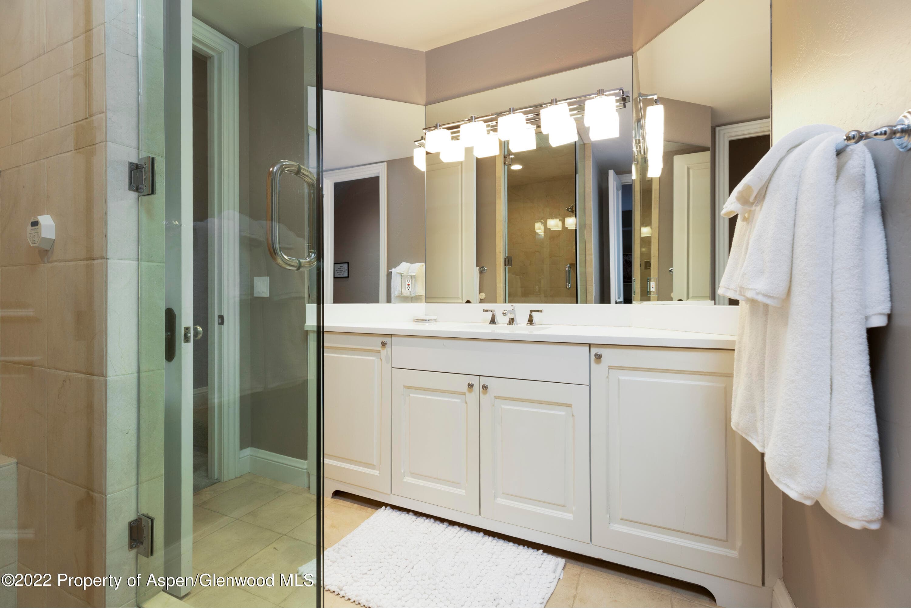 922 E Cooper Avenue, Aspen, CO 81611 - Photo 8
