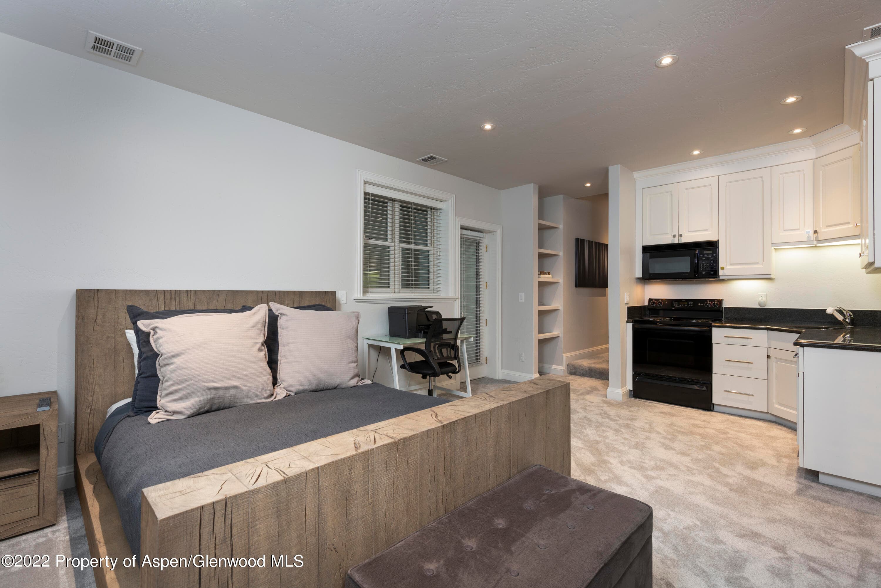 922 E Cooper Avenue, Aspen, CO 81611 - Photo 9
