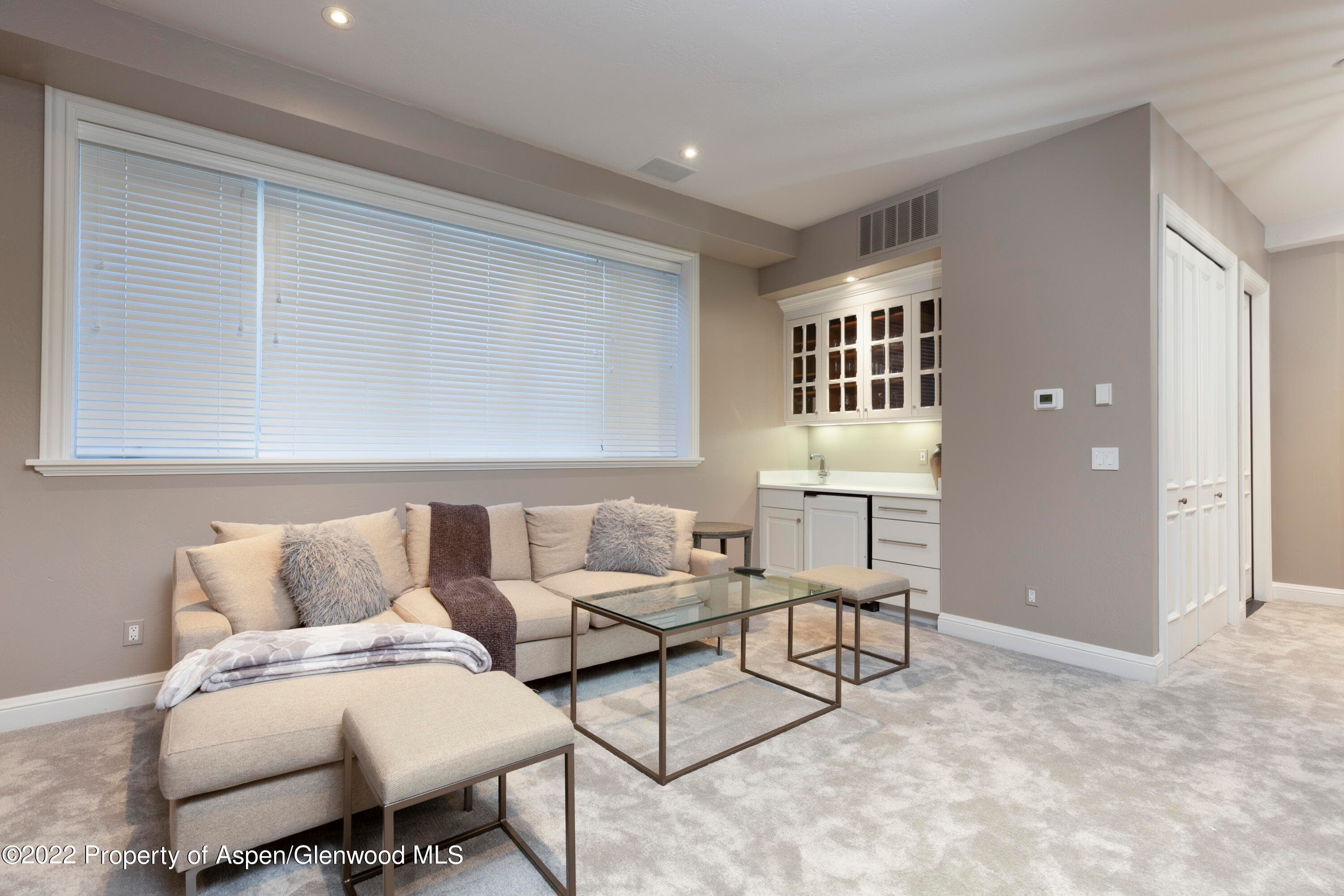 922 E Cooper Avenue, Aspen, CO 81611 - Photo 12