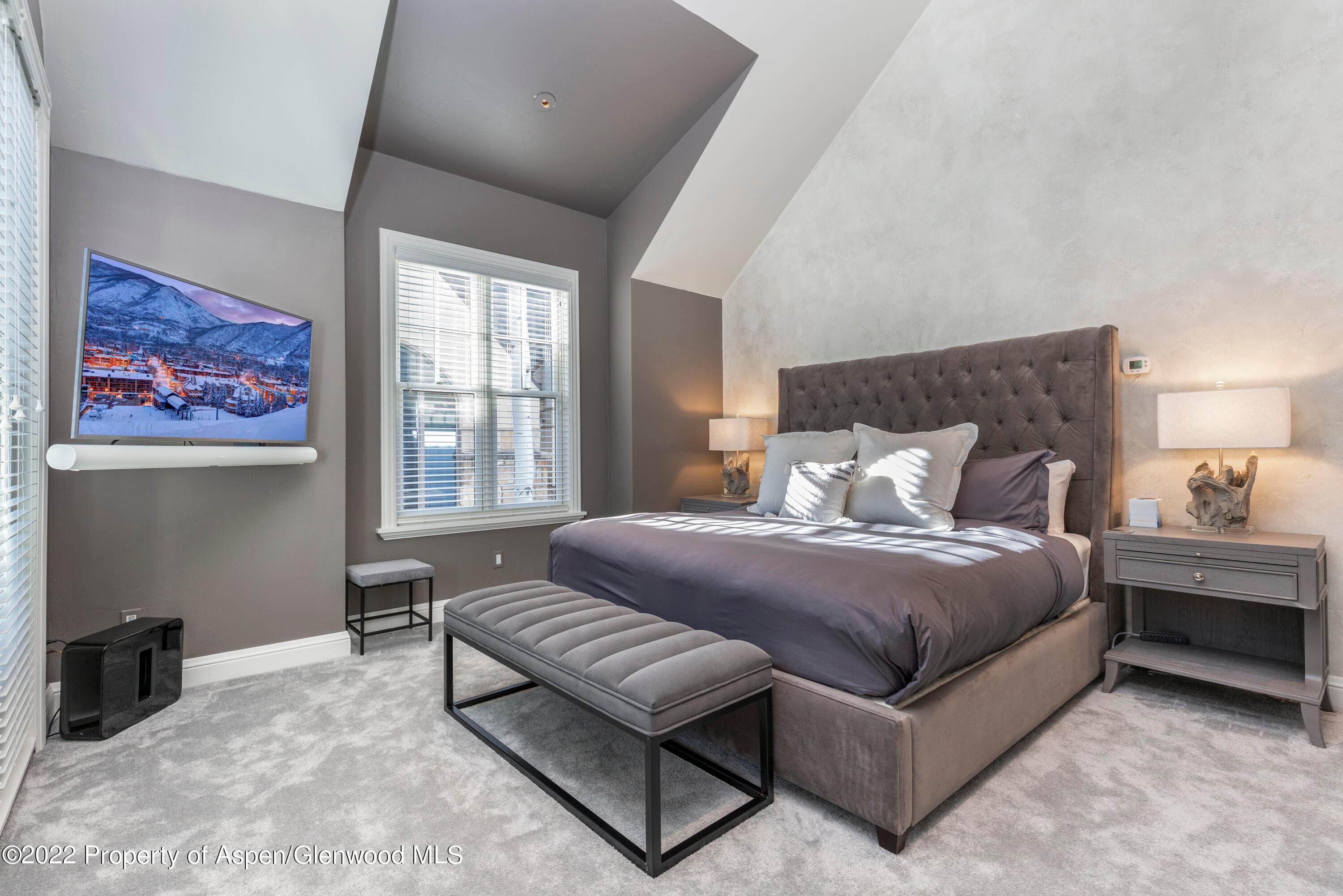 922 E Cooper Avenue, Aspen, CO 81611 - Photo 4