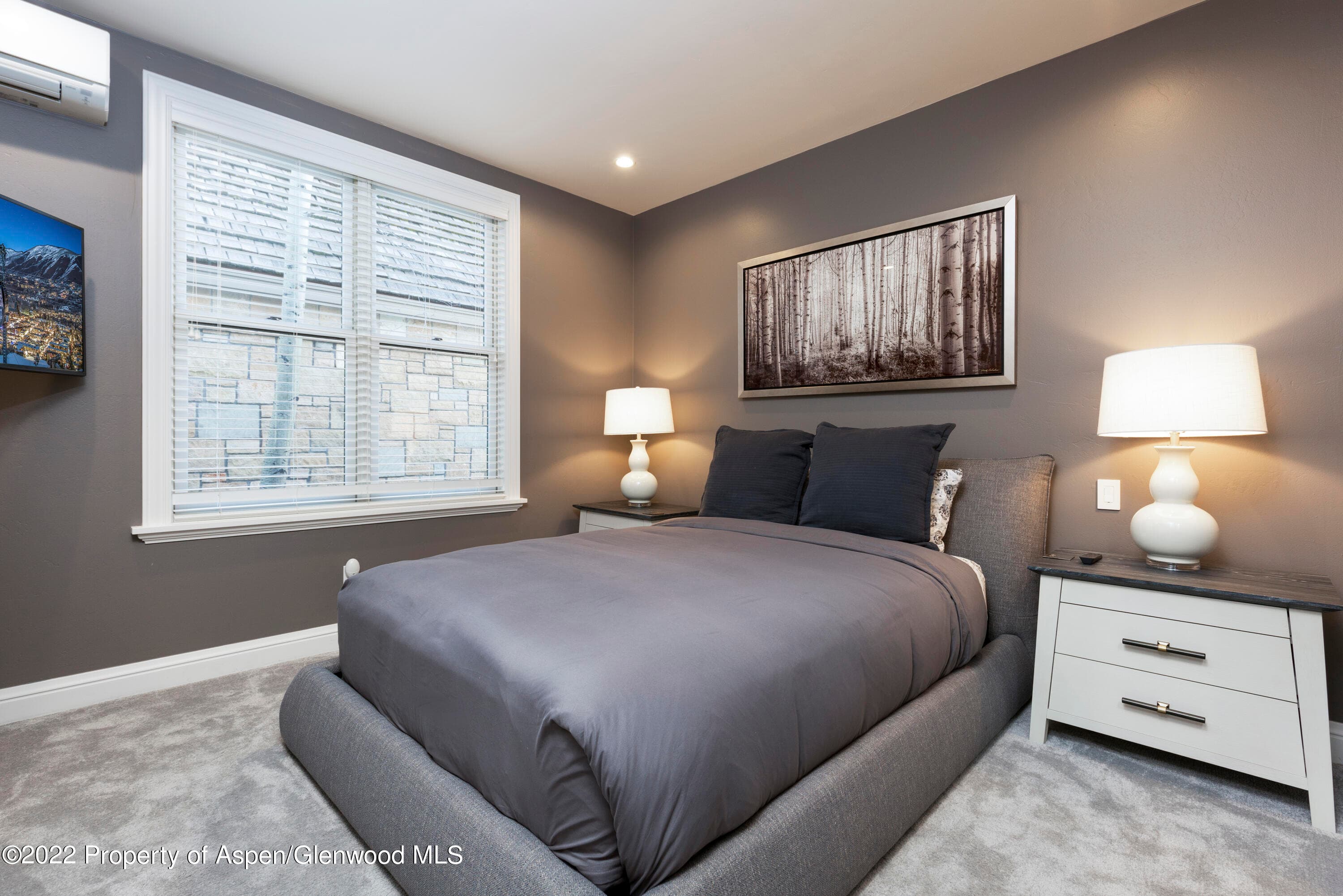 922 E Cooper Avenue, Aspen, CO 81611 - Photo 11