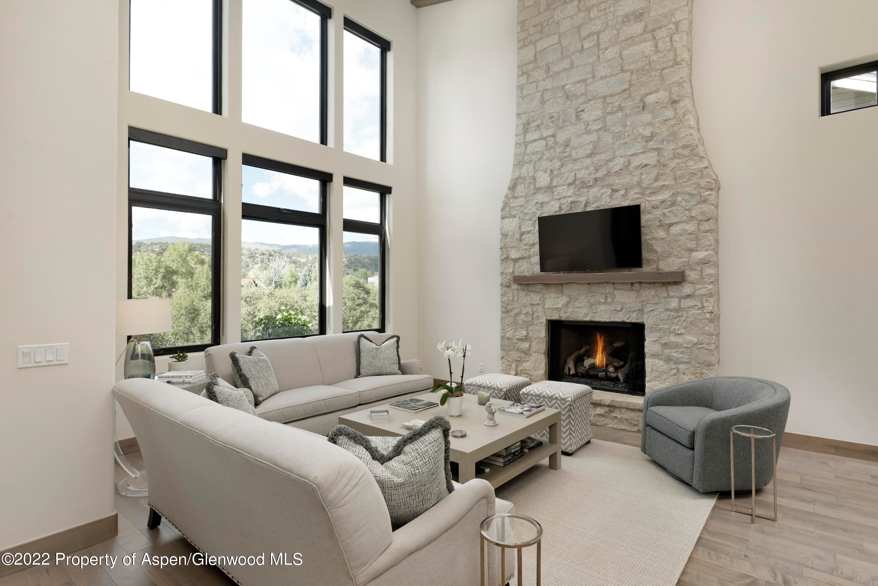 471 BOUNDARY Lane, Carbondale, CO 81623 - Photo 7