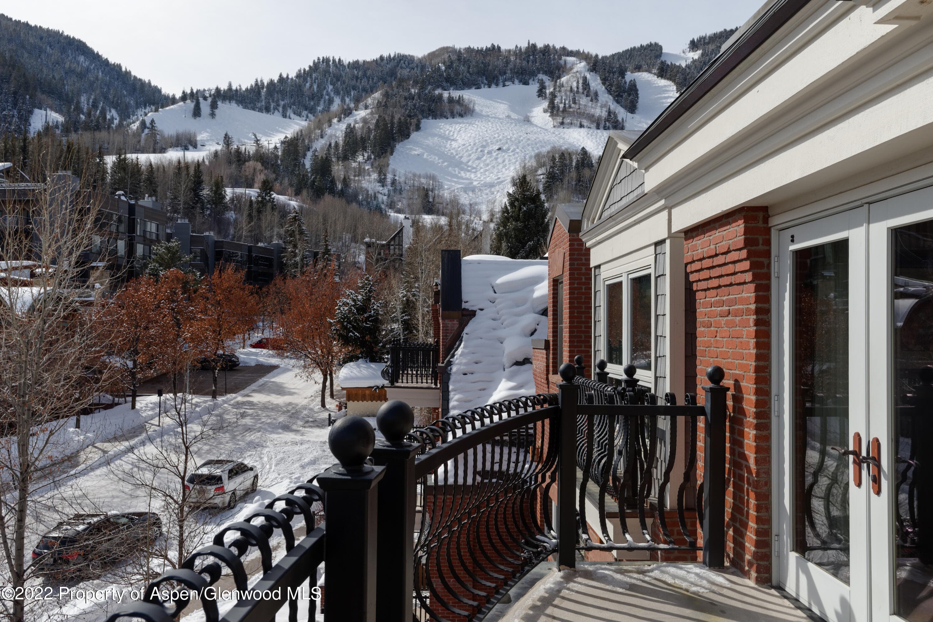 415 E Dean Street Unit 19 Week 9, Aspen, CO 81611 - Photo 15