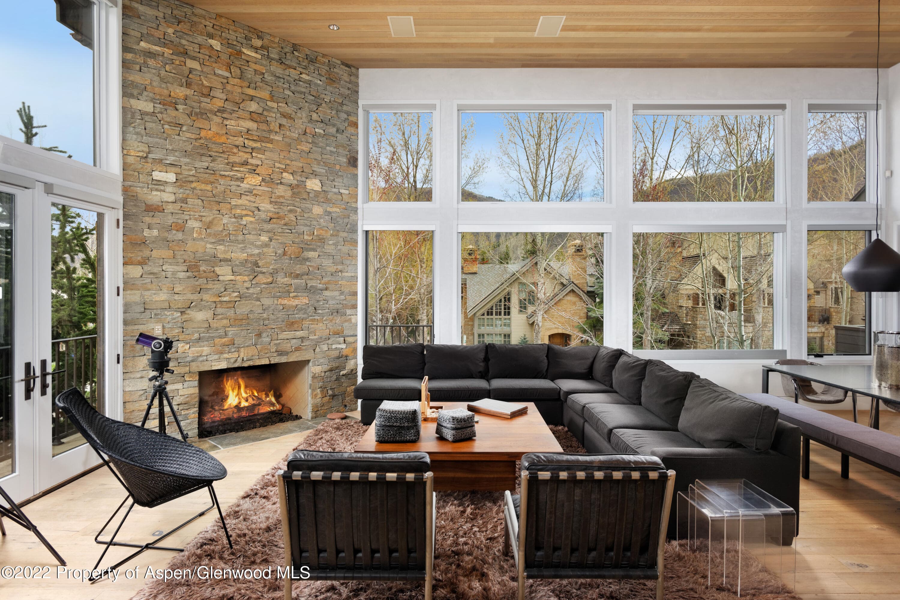 410 S West End Street 101, Aspen, CO 81611