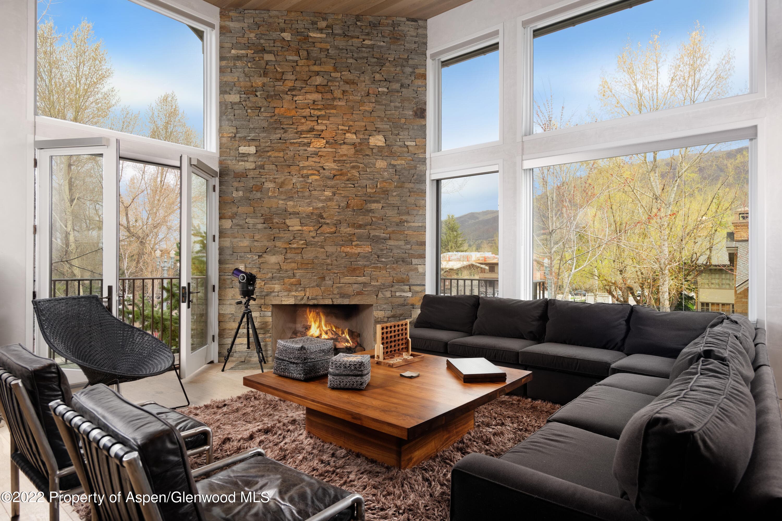 410 S West End Street 101, Aspen, CO 81611 - Photo 2