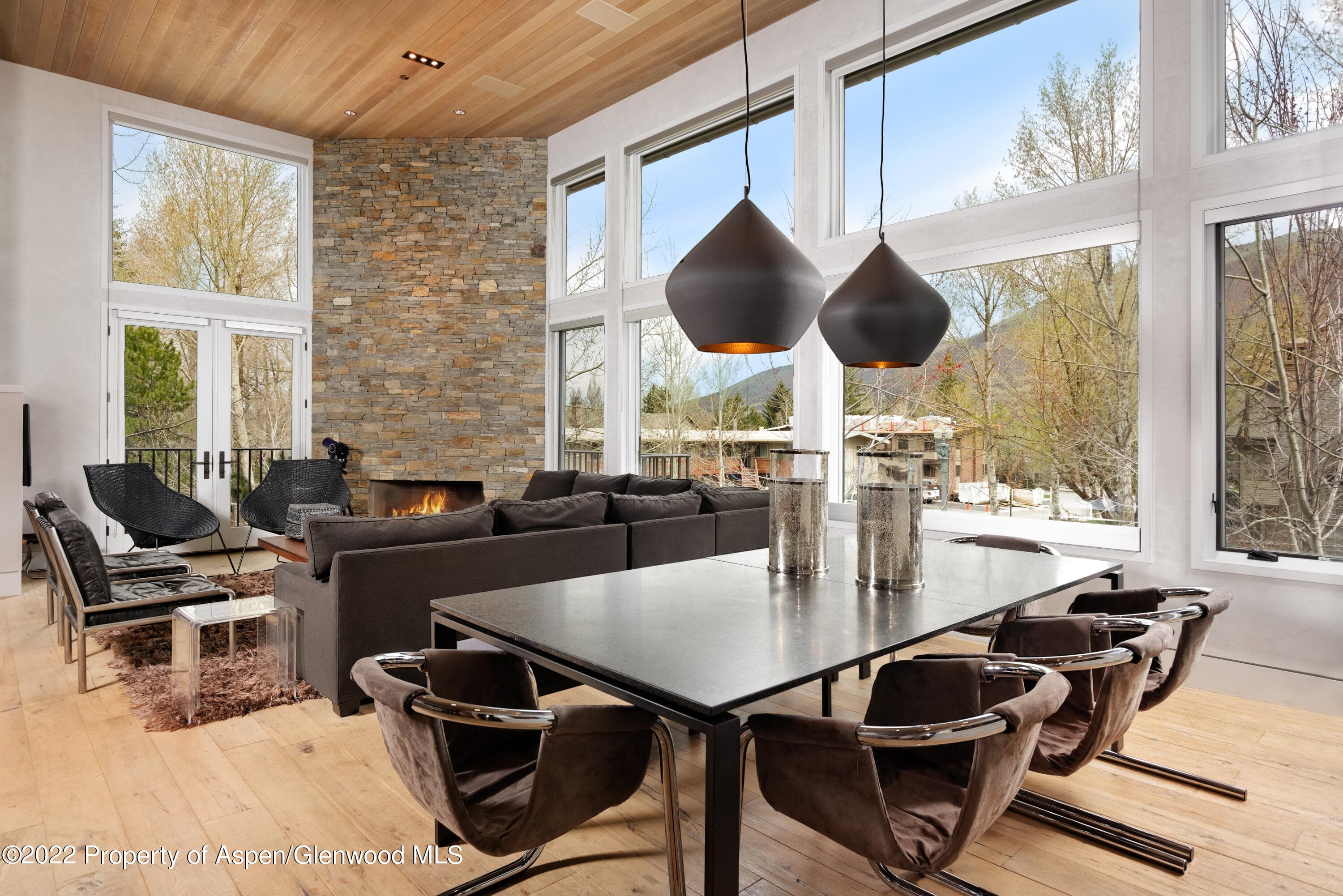 410 S West End Street 101, Aspen, CO 81611 - Photo 3