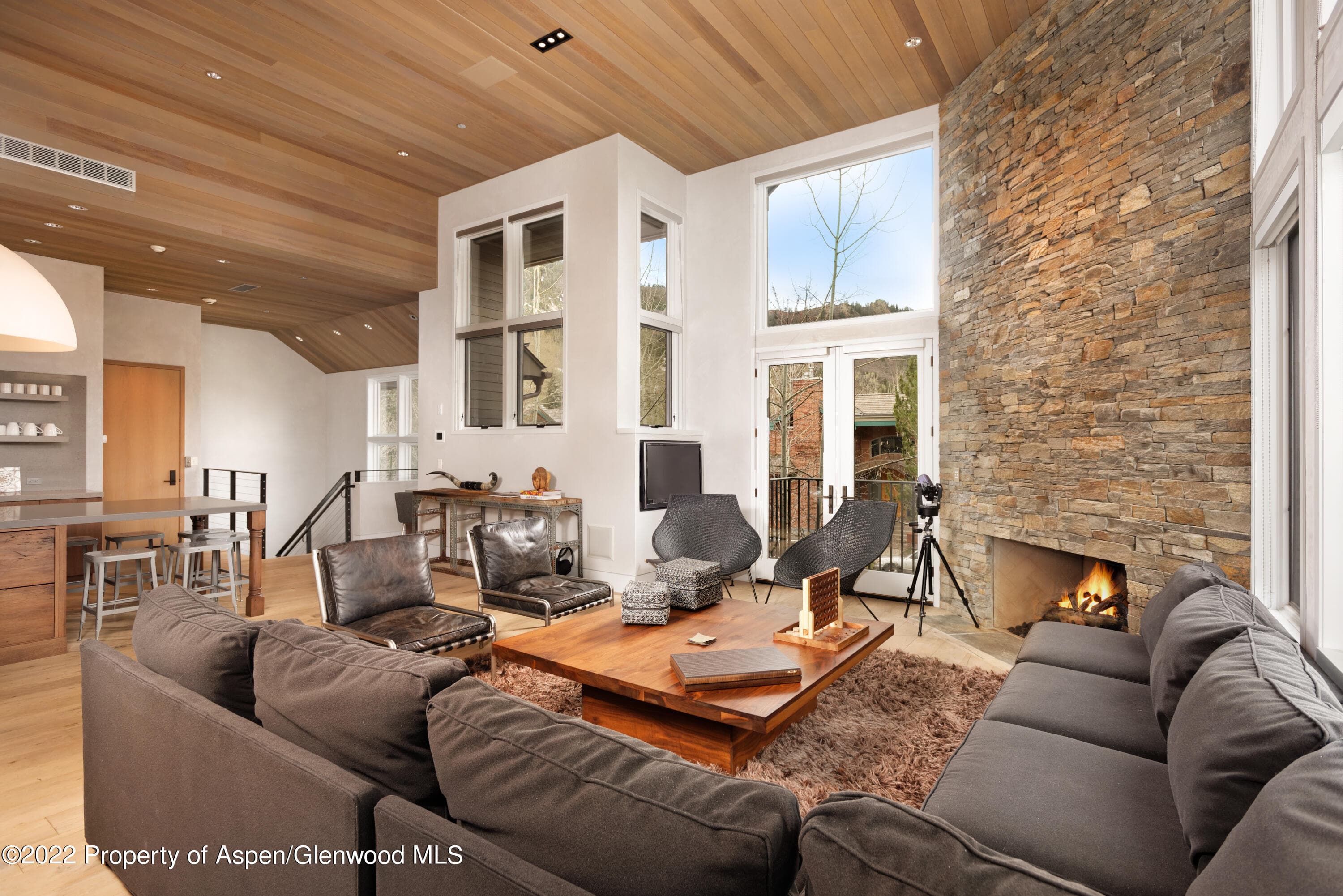 410 S West End Street 101, Aspen, CO 81611 - Photo 4