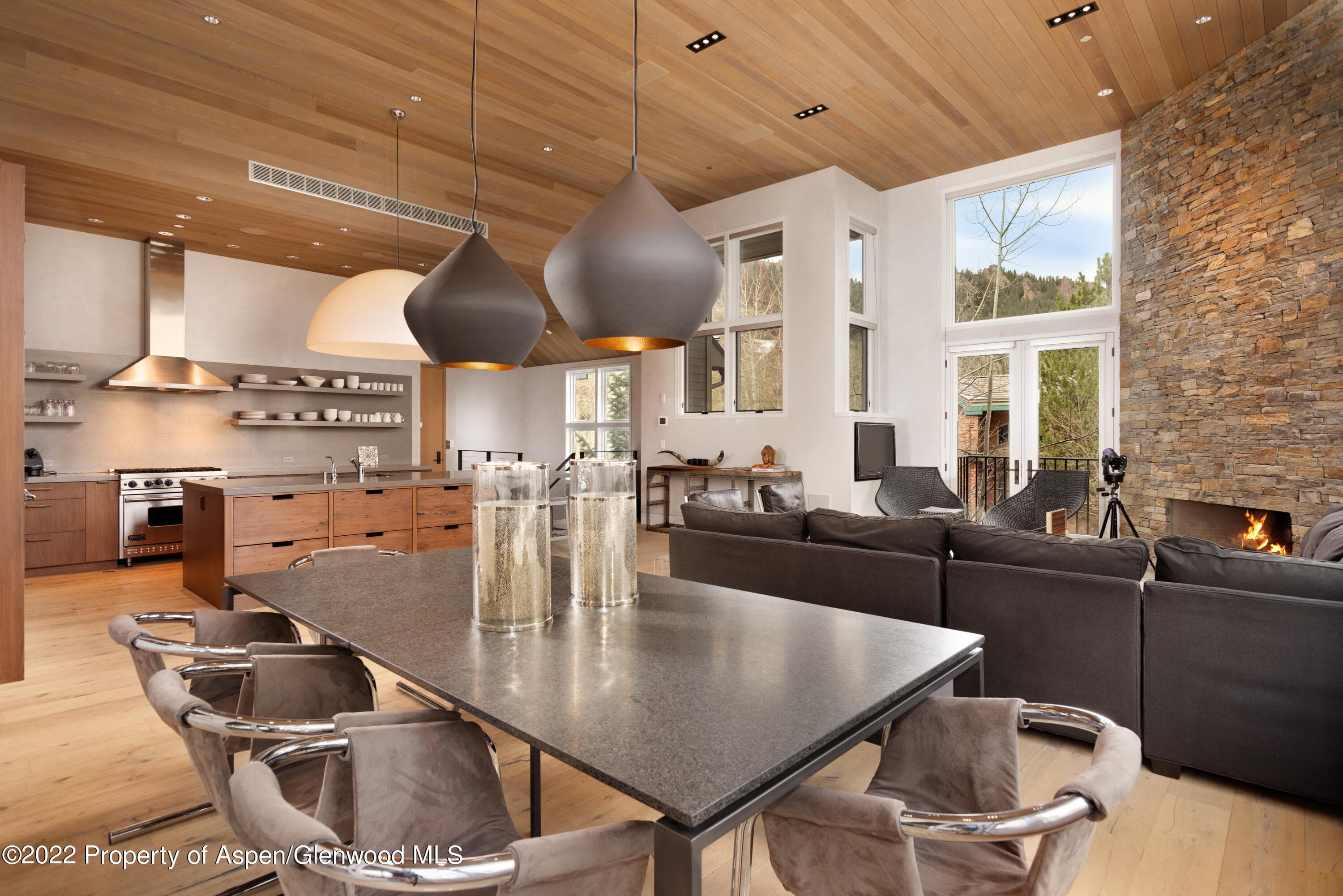 410 S West End Street 101, Aspen, CO 81611 - Photo 5